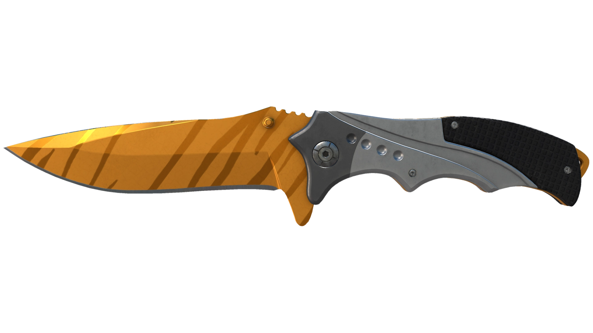 Tiger Tooth image