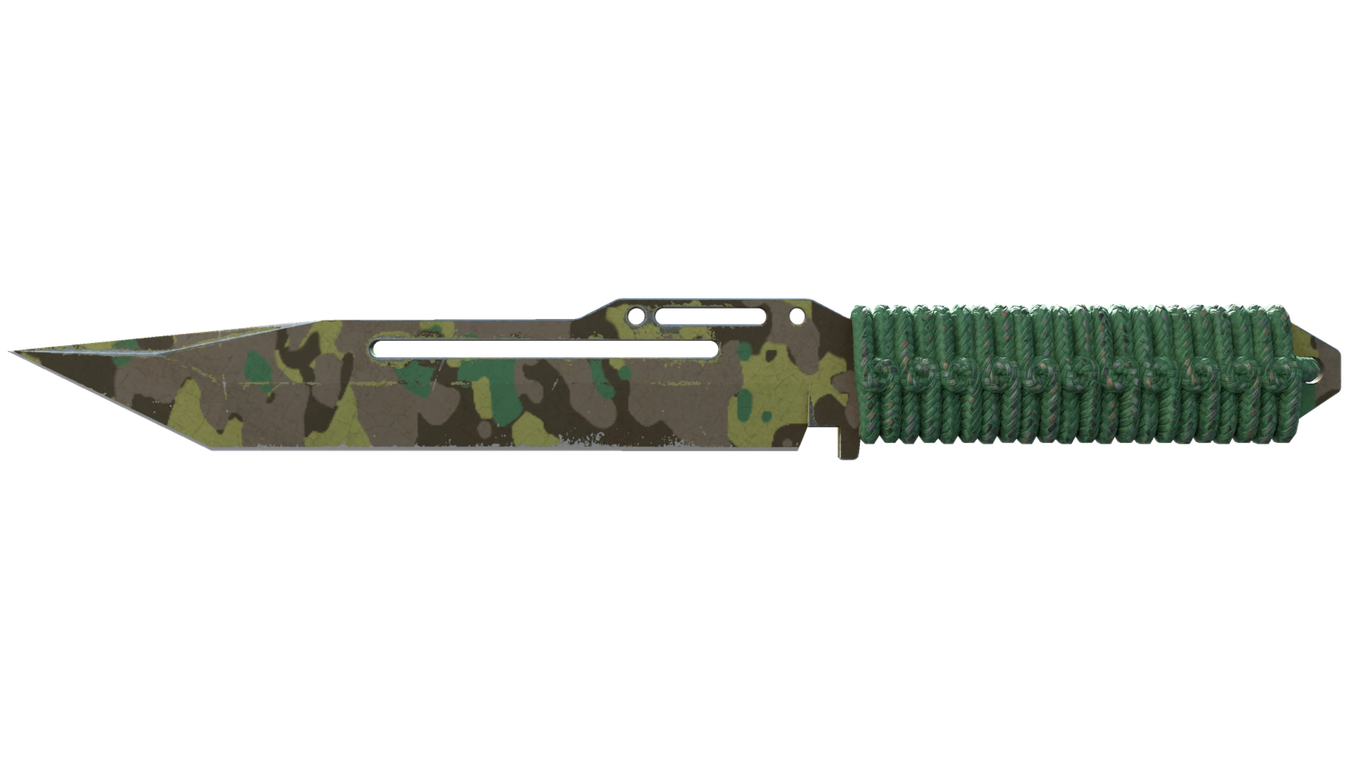Boreal Forest image