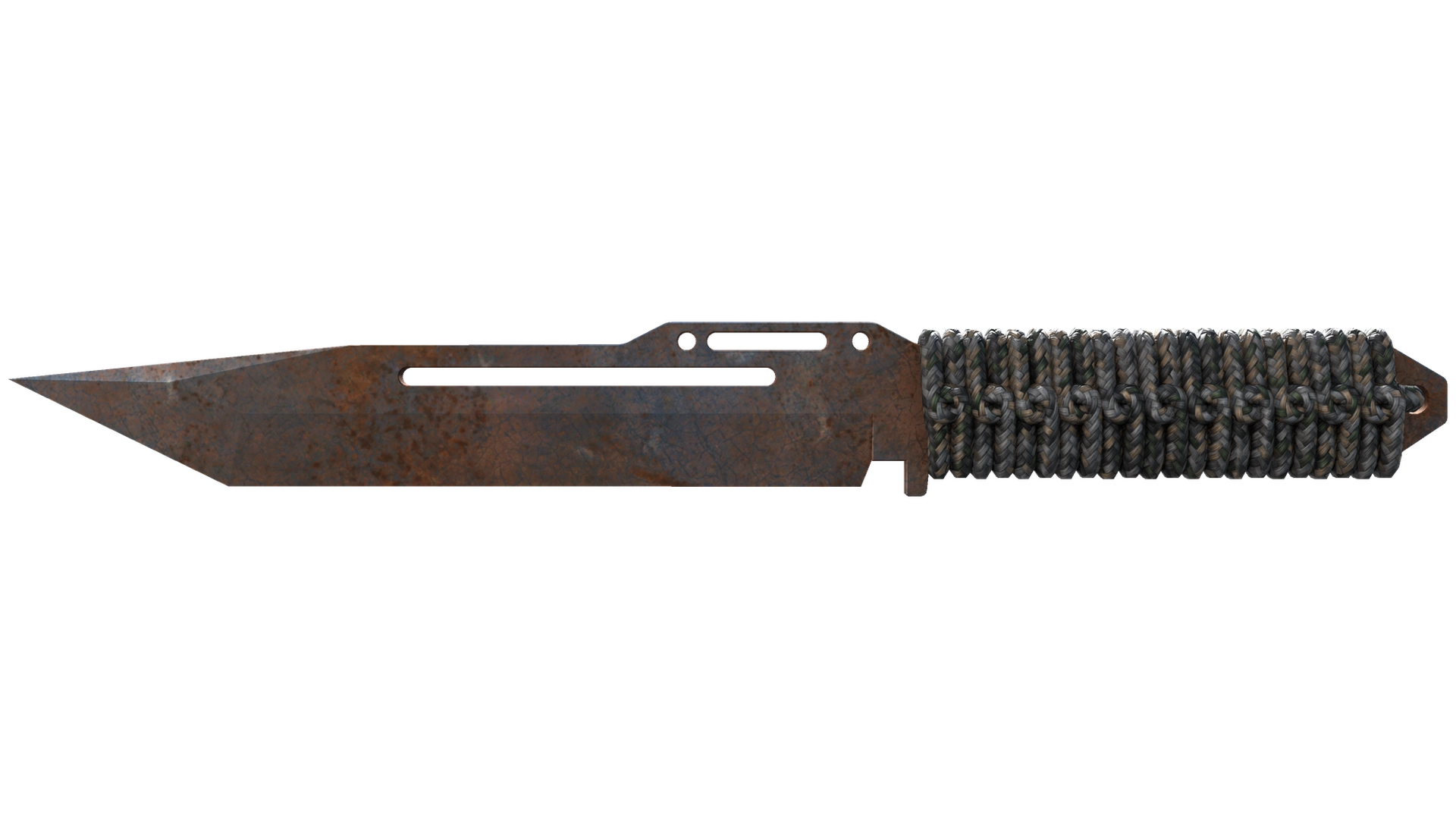 Rust Coat image