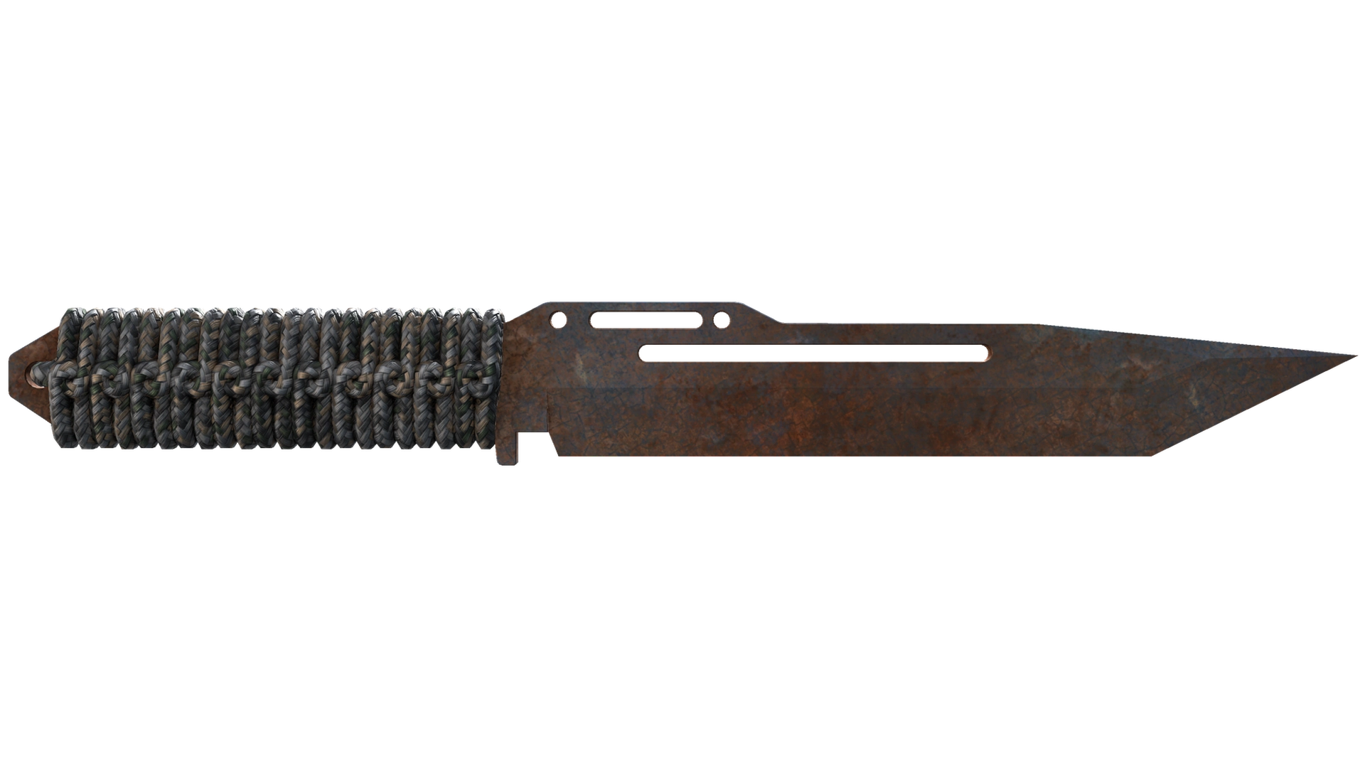 Rust Coat image