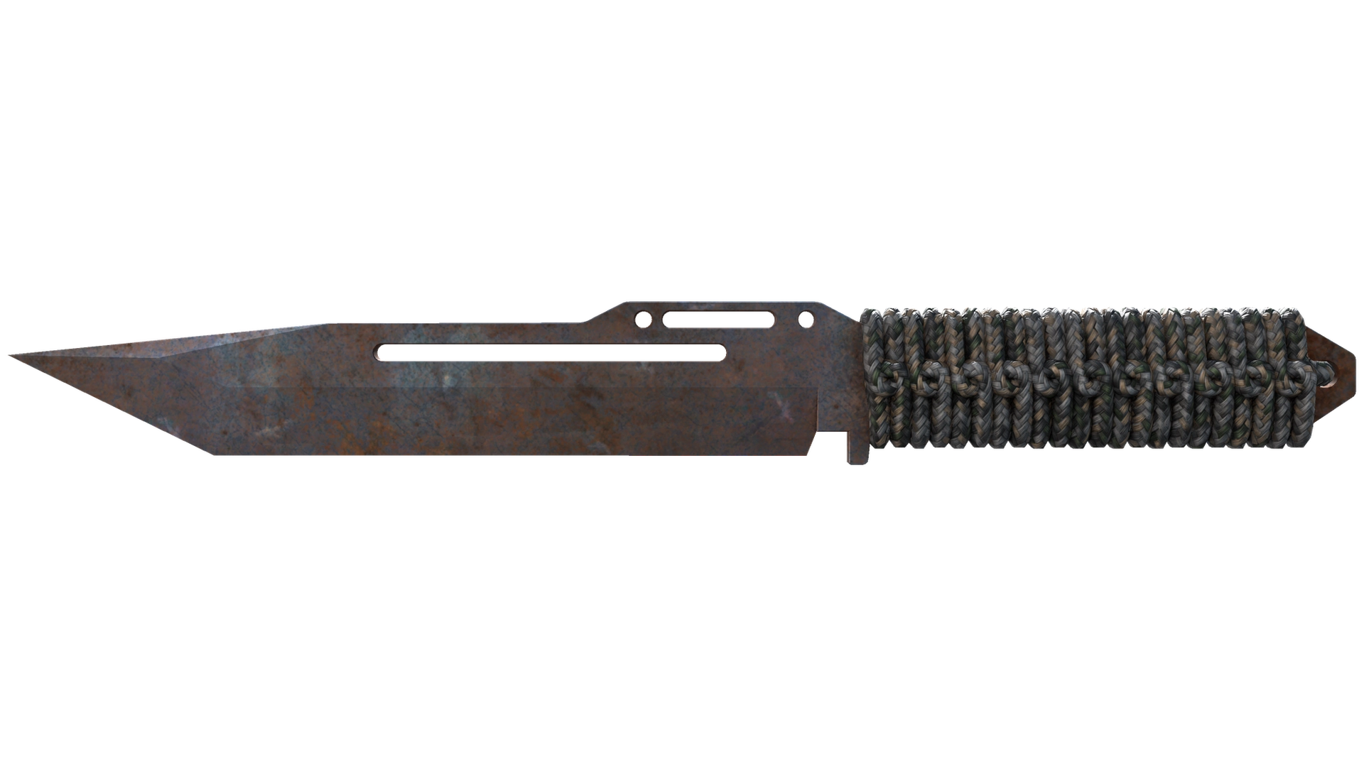 Rust Coat image