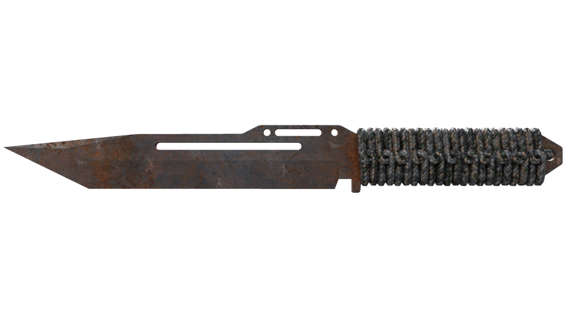 Rust Coat image