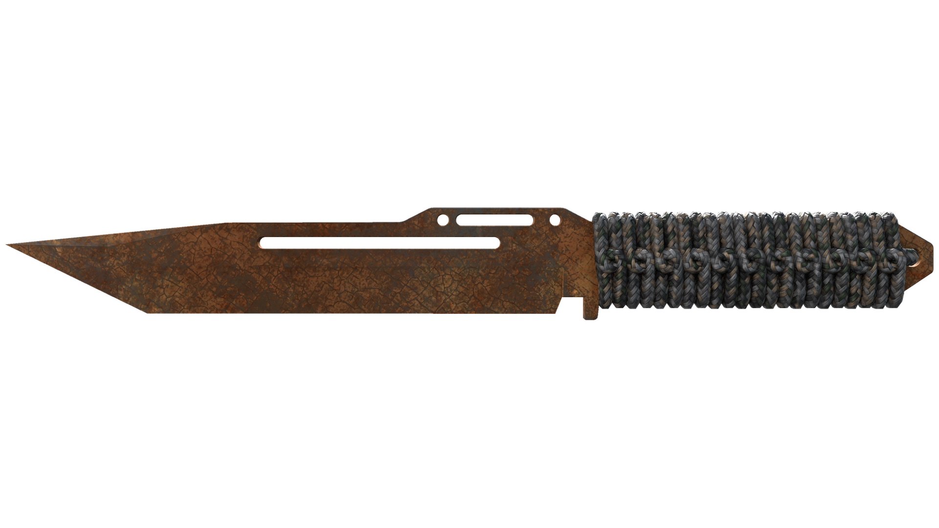 Rust Coat image