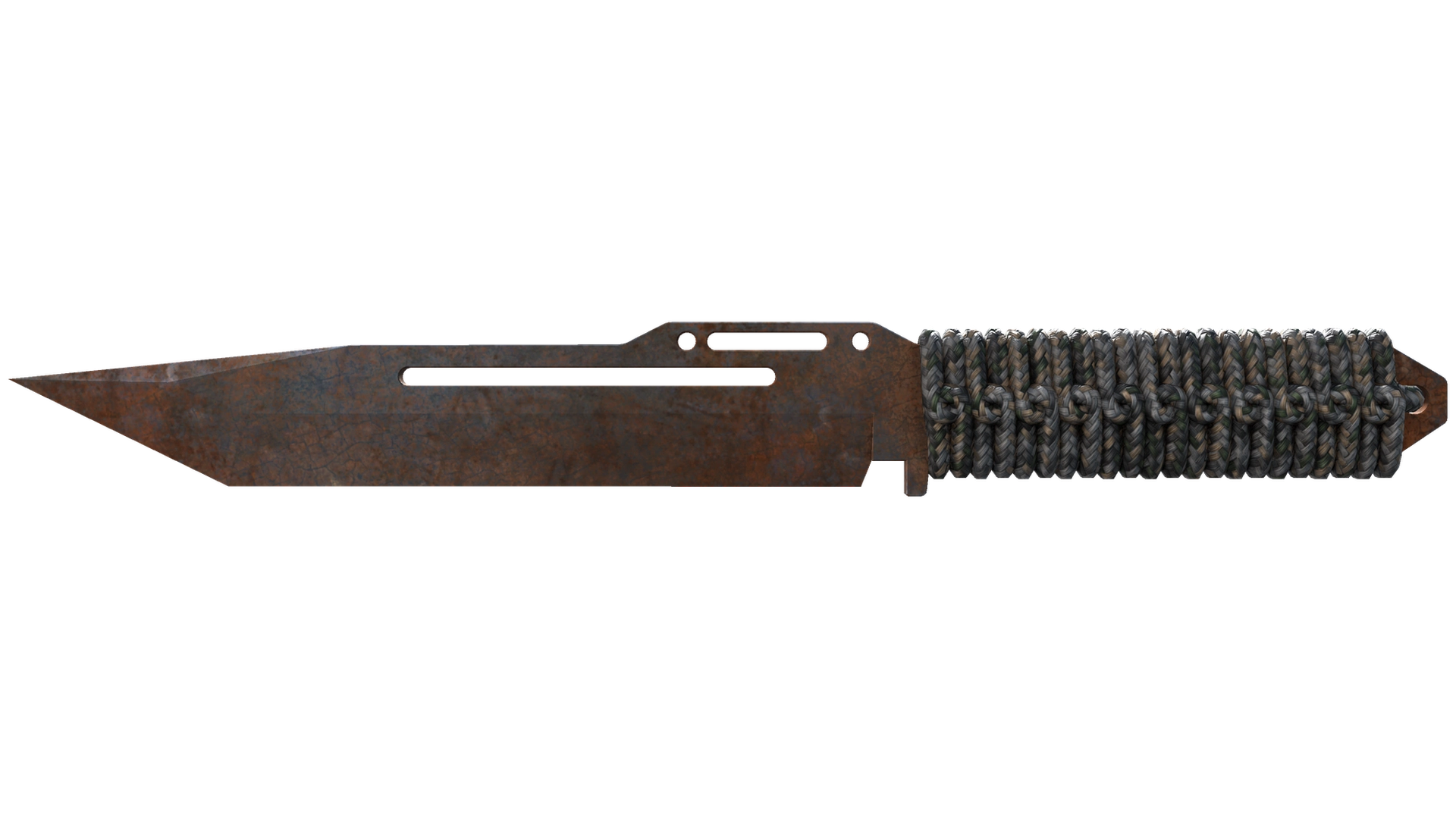 Rust Coat image