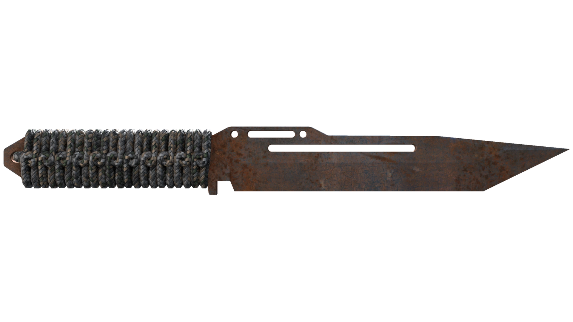 Rust Coat image