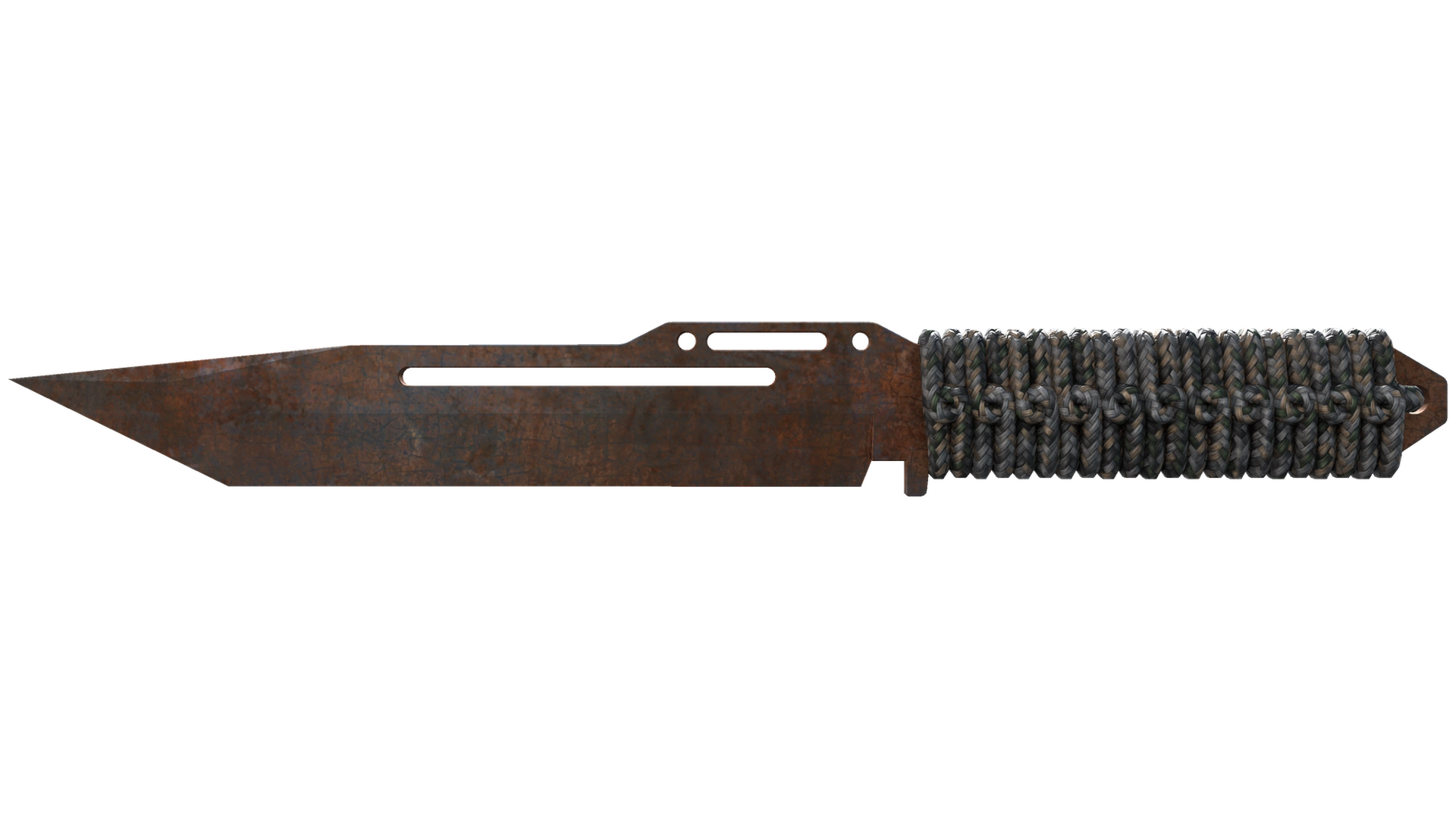 Rust Coat image