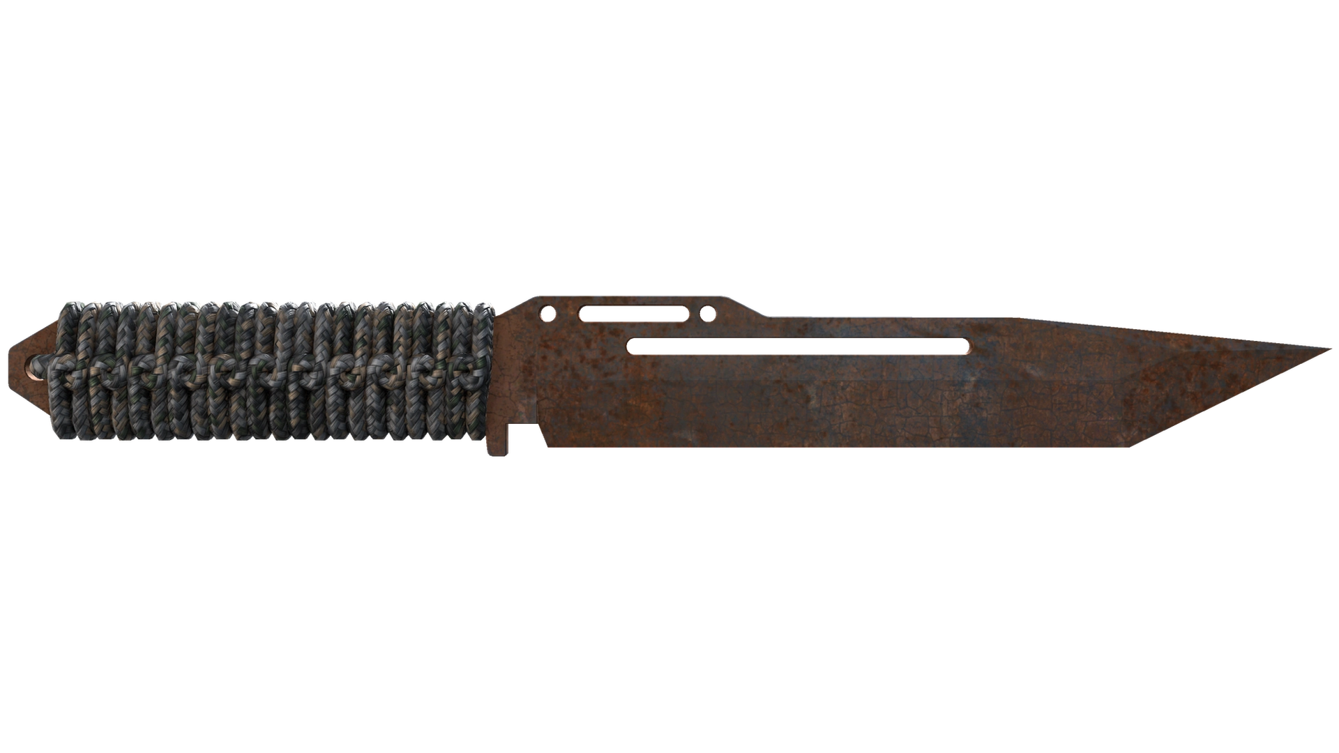Rust Coat image