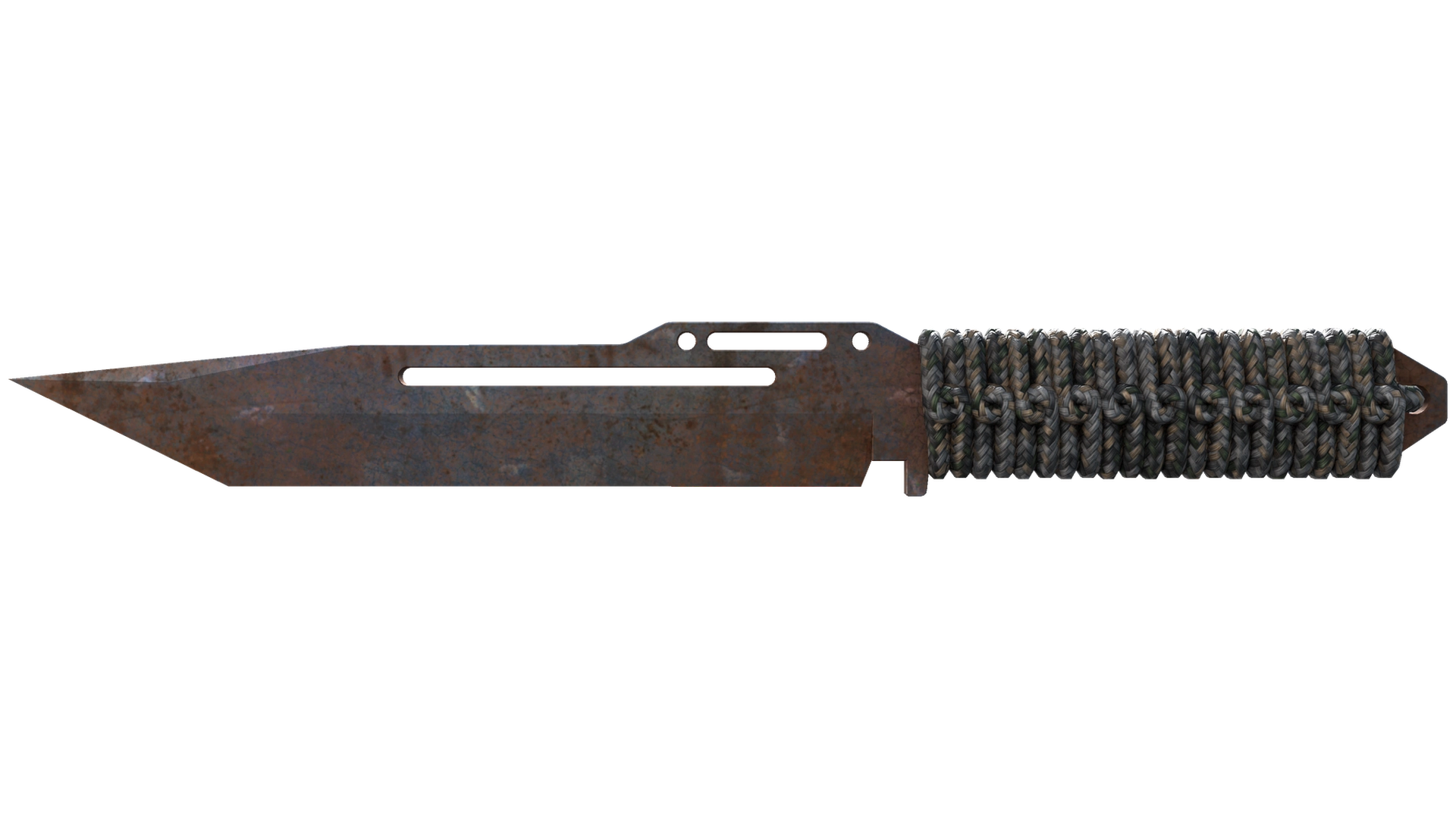 Rust Coat image