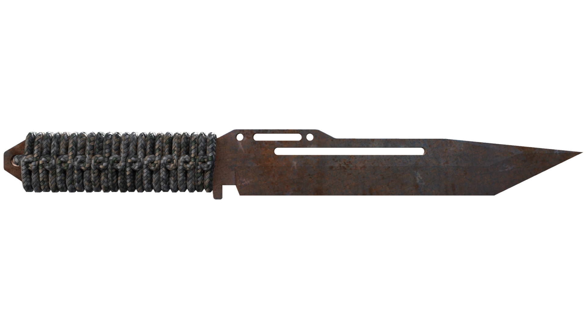 Rust Coat image