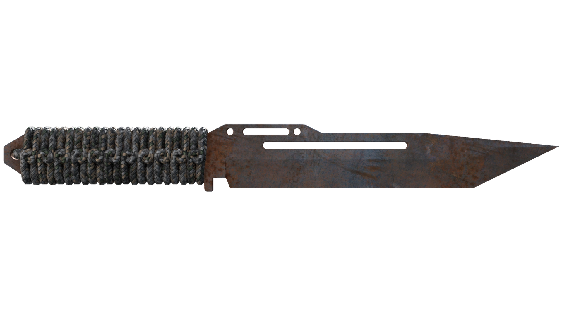 Rust Coat image