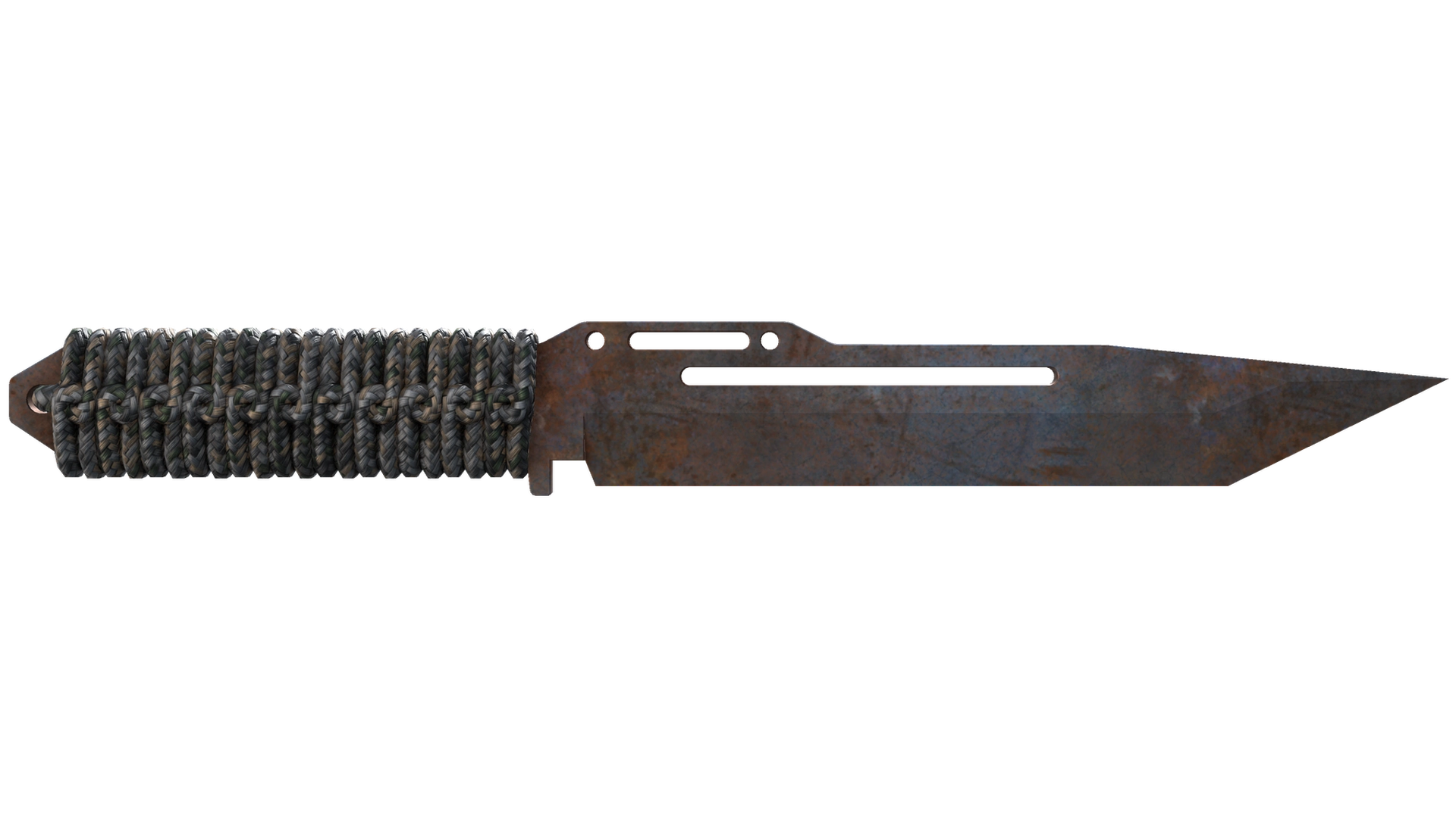 Rust Coat image