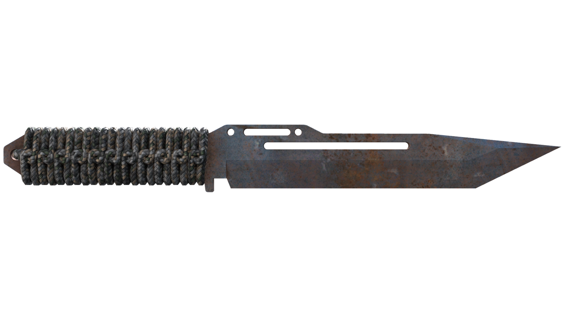 Rust Coat image