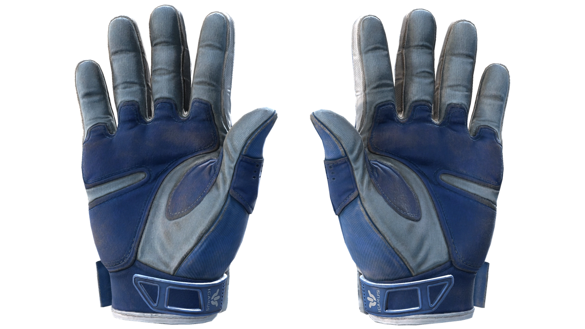Amphibious image