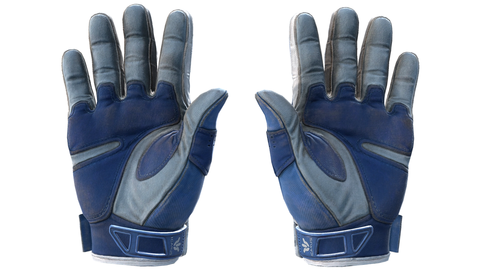 Amphibious image