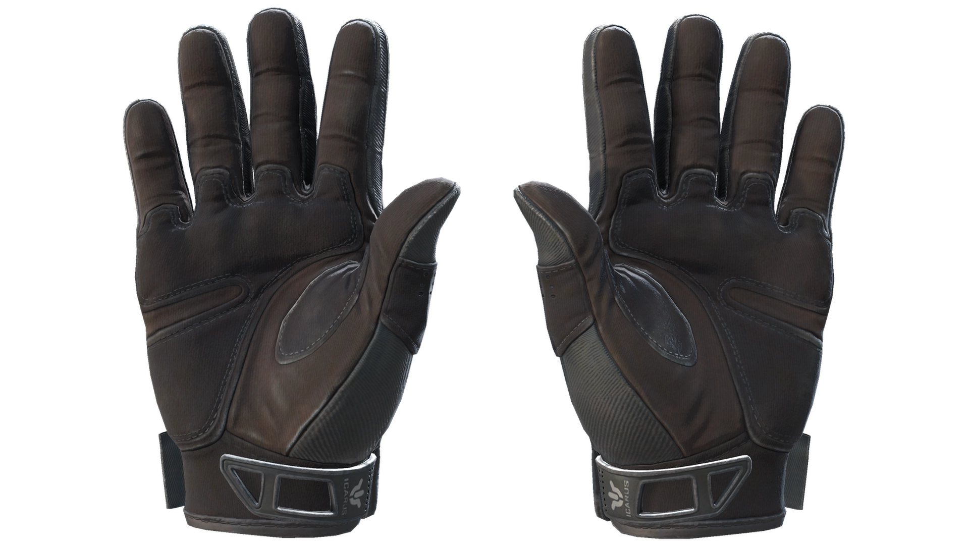 Nocts image