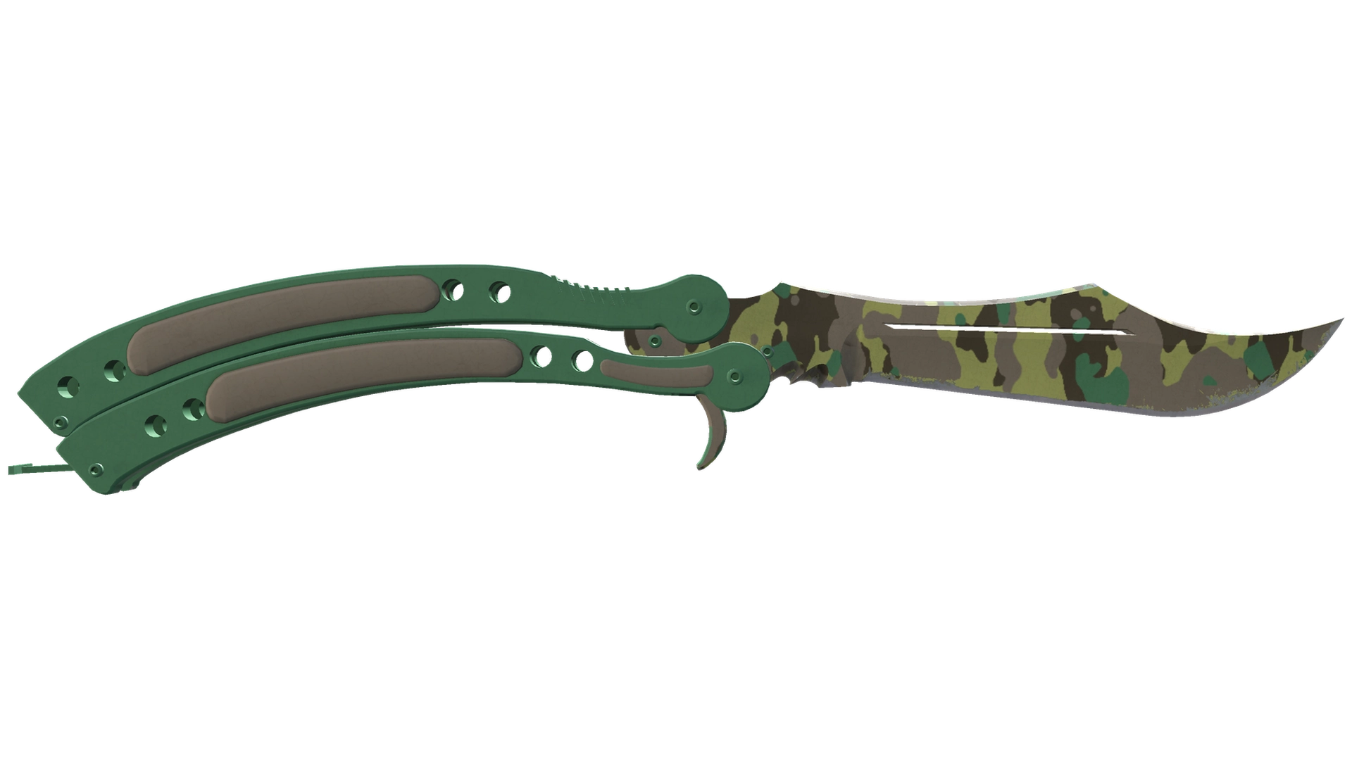 Boreal Forest image