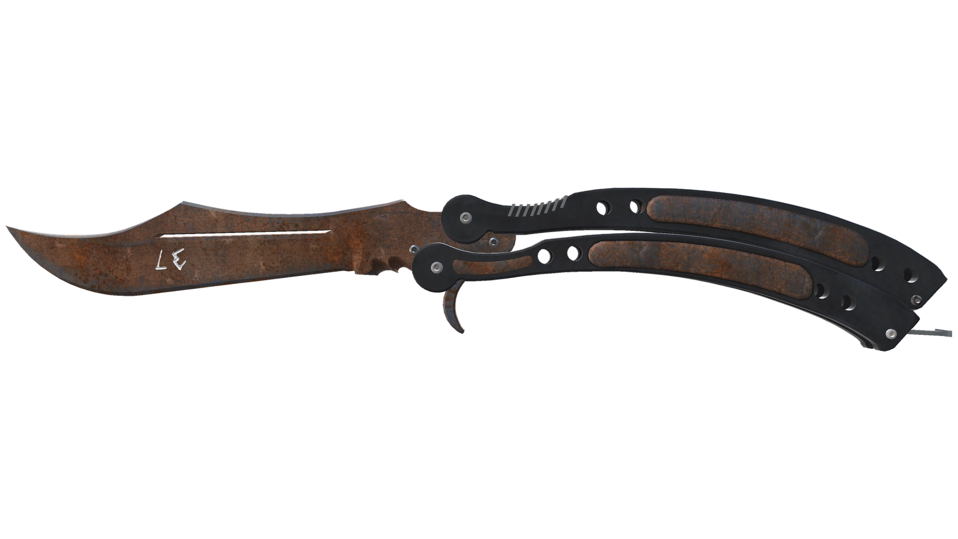 Rust Coat image
