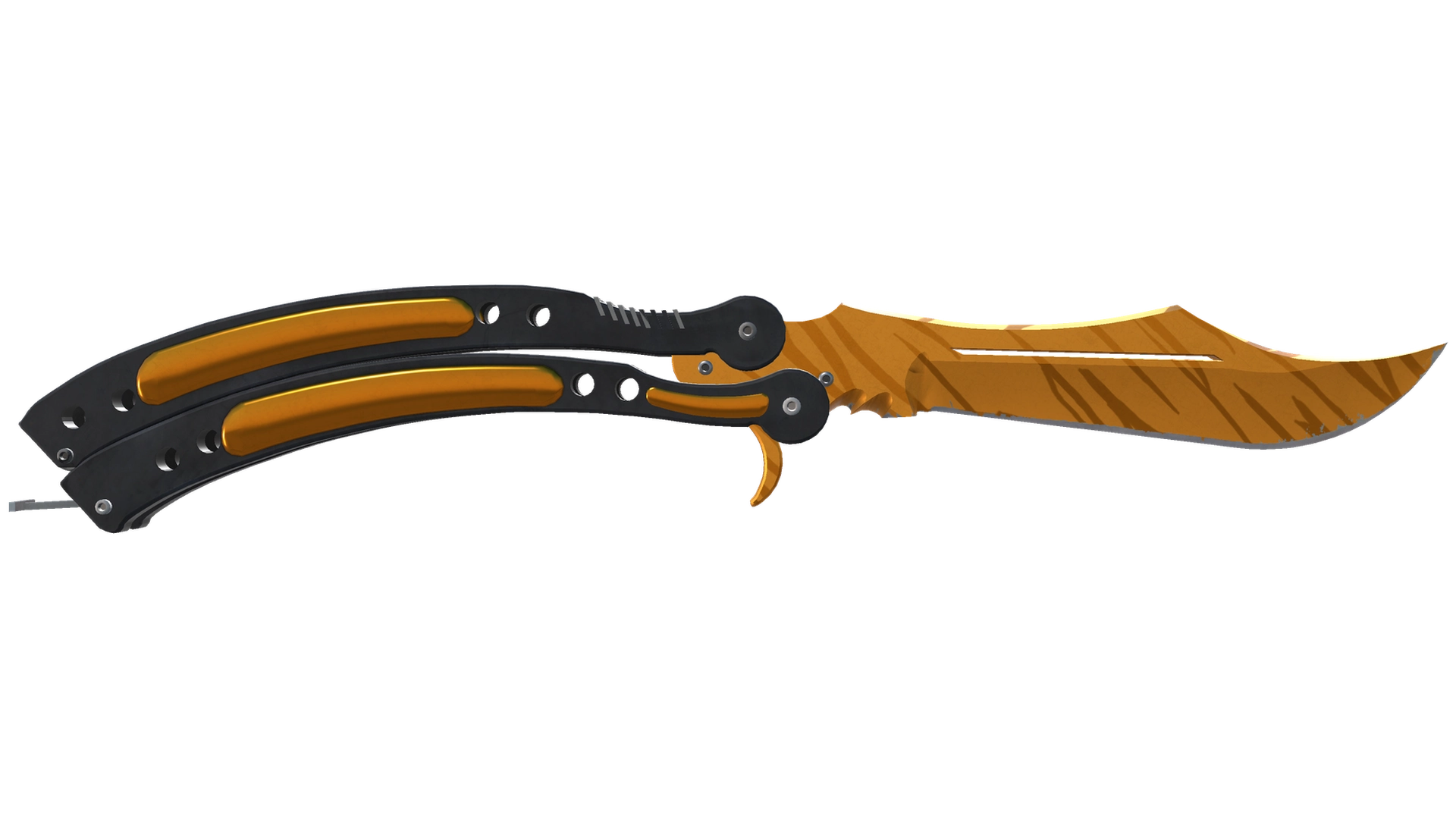 Tiger Tooth image