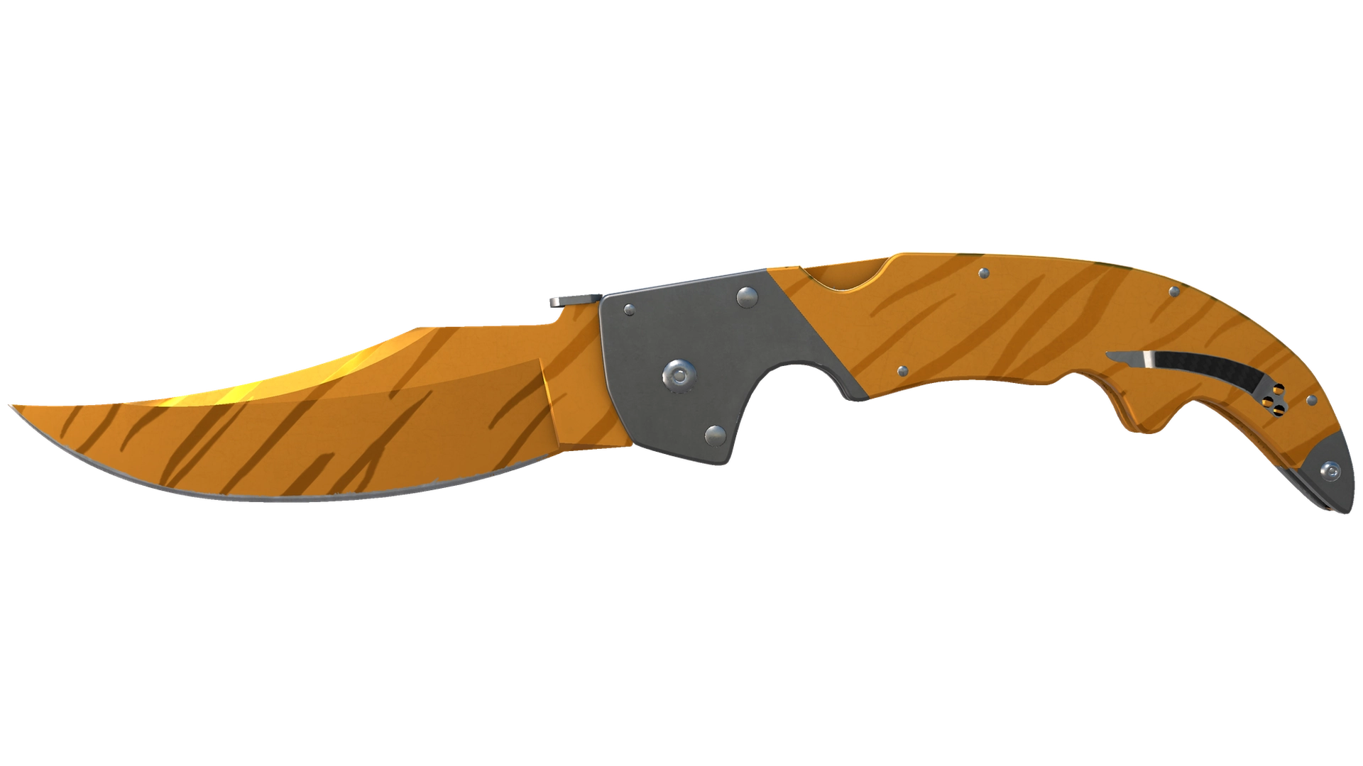 Tiger Tooth image