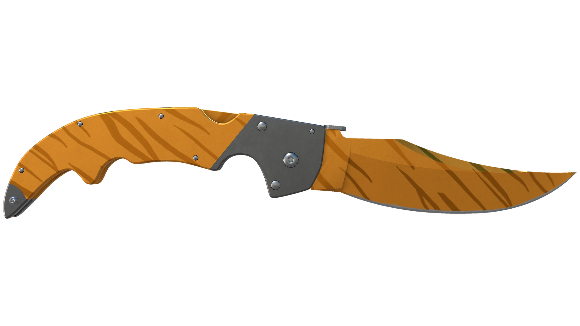 Tiger Tooth image