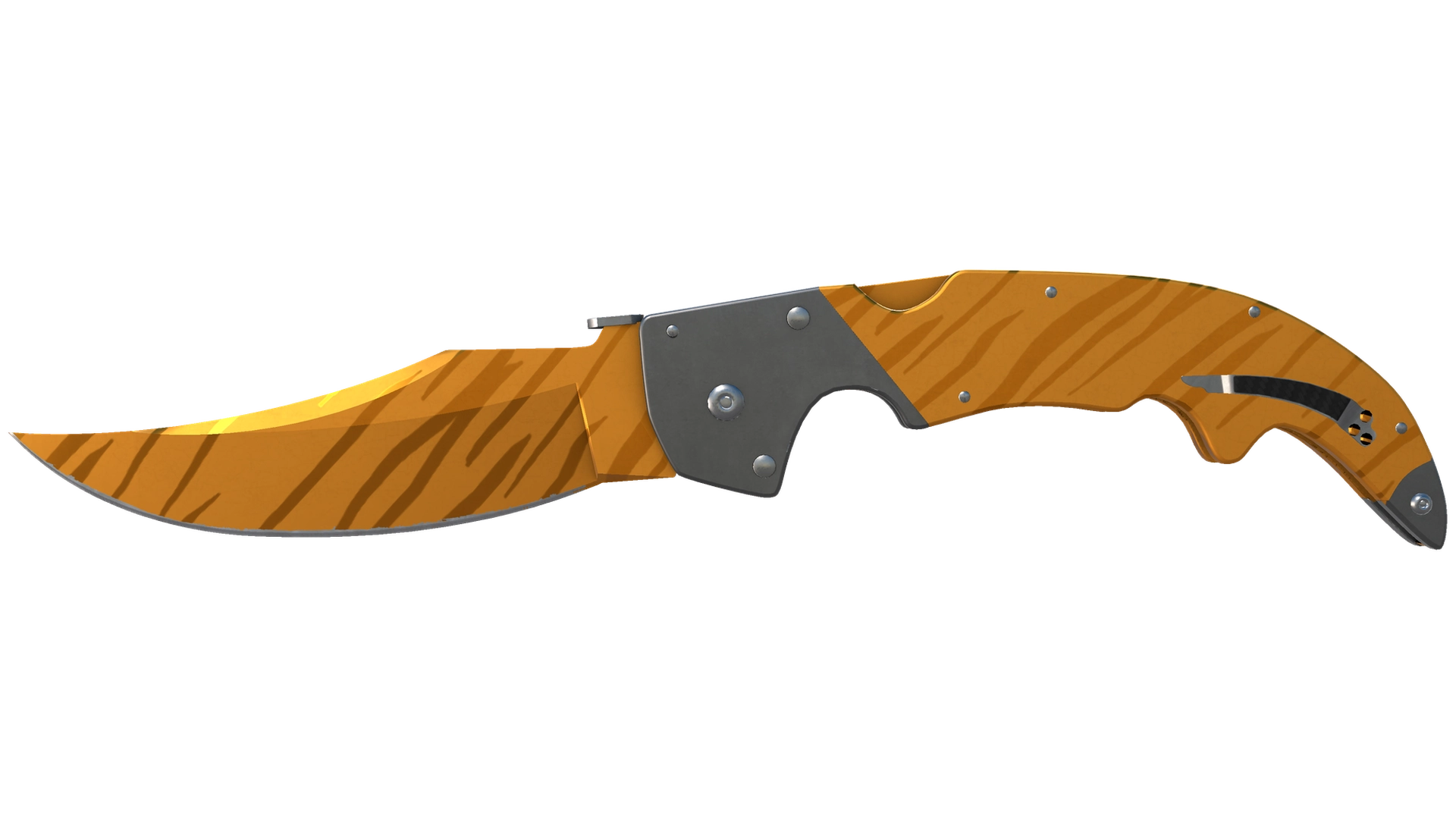 Tiger Tooth image