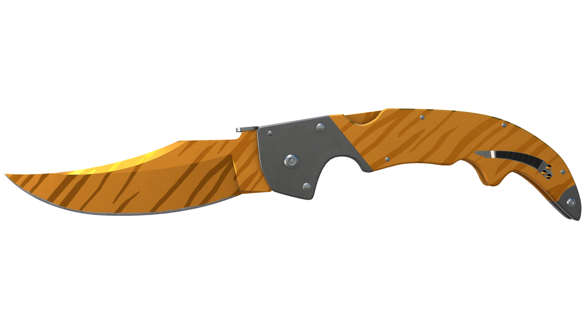 Tiger Tooth image