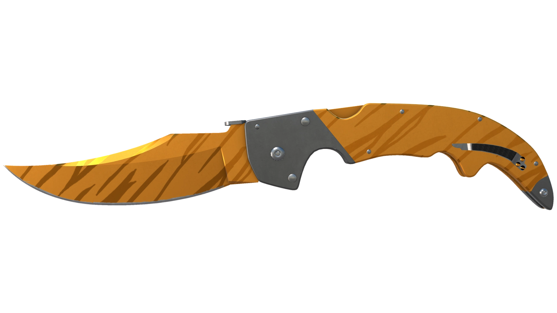 Tiger Tooth image