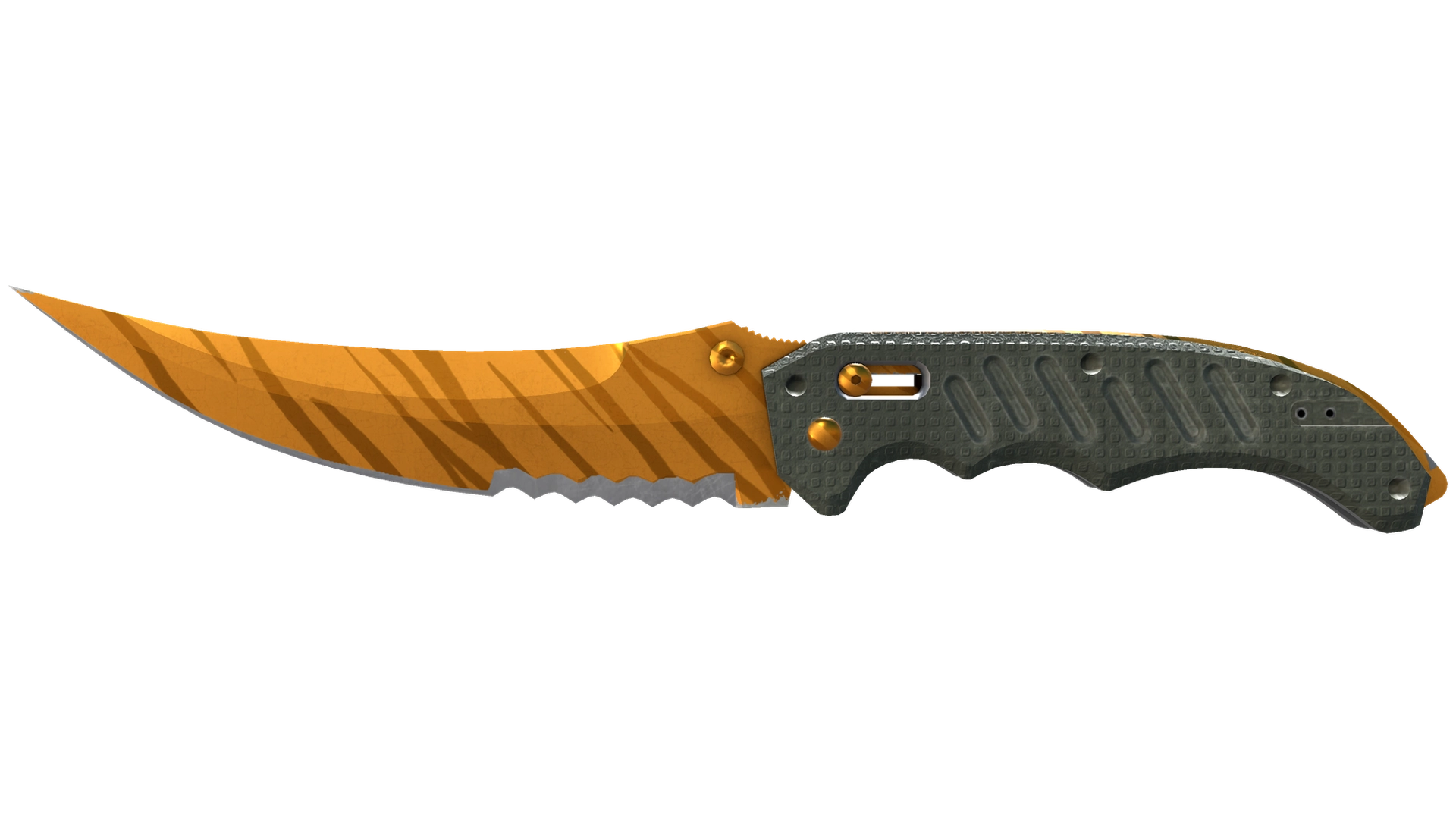 Tiger Tooth image