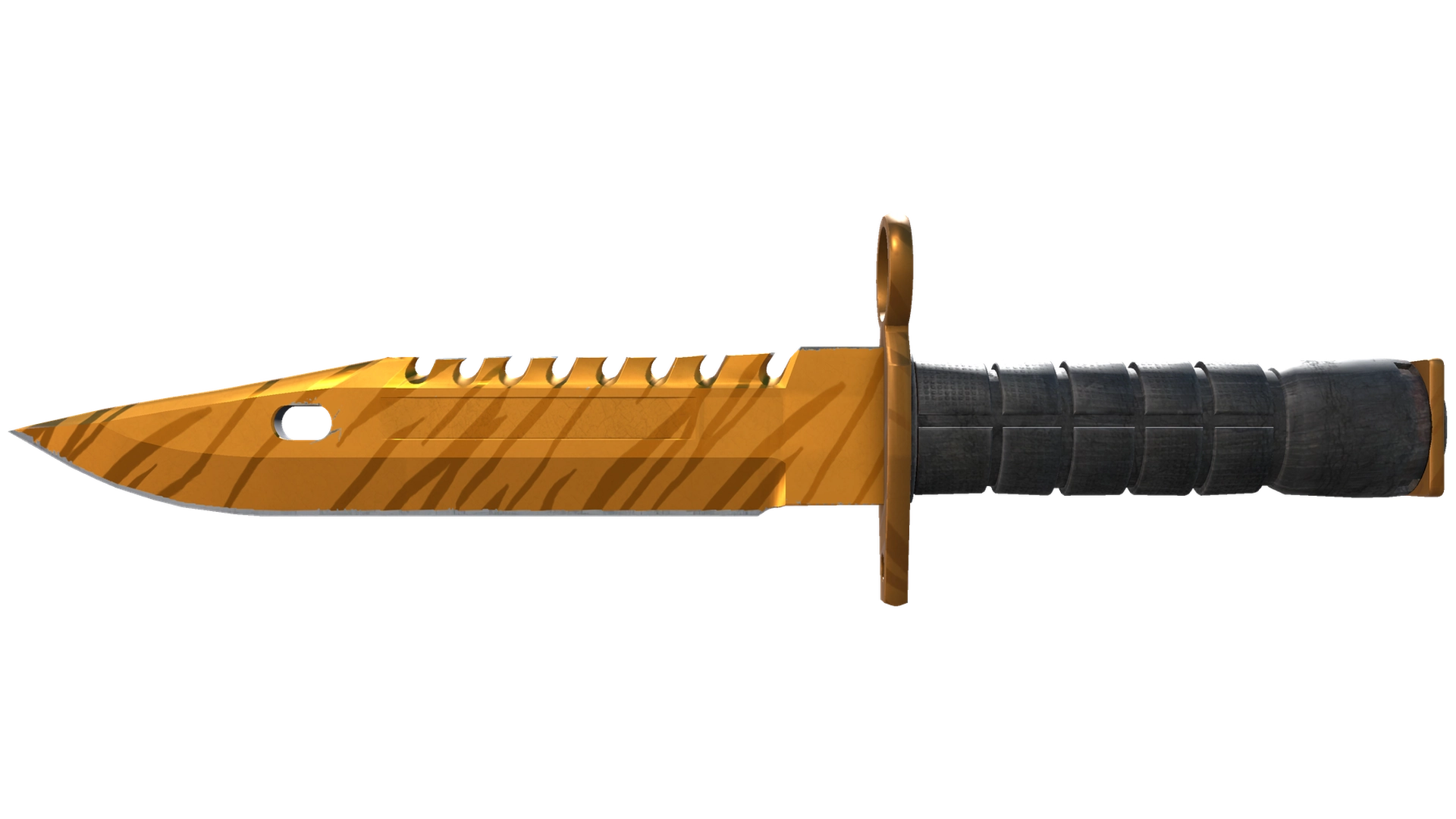 Tiger Tooth image