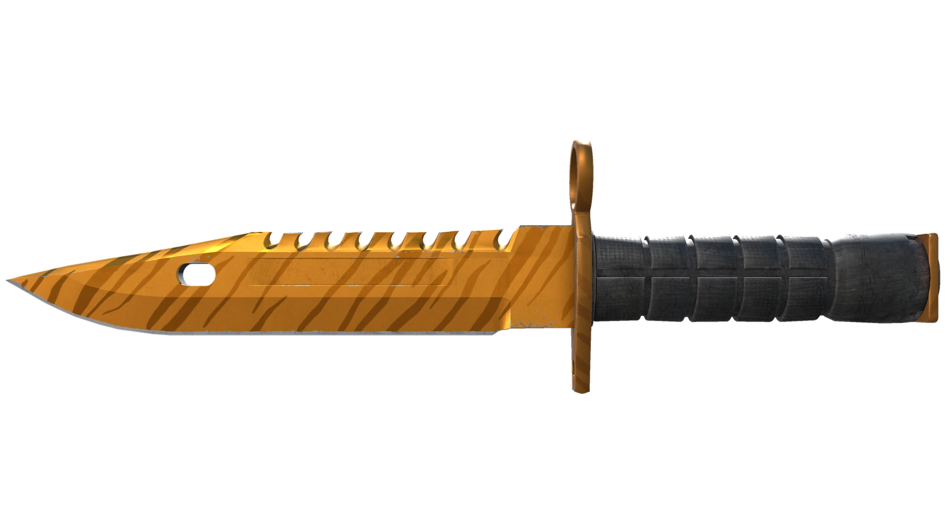 Tiger Tooth image