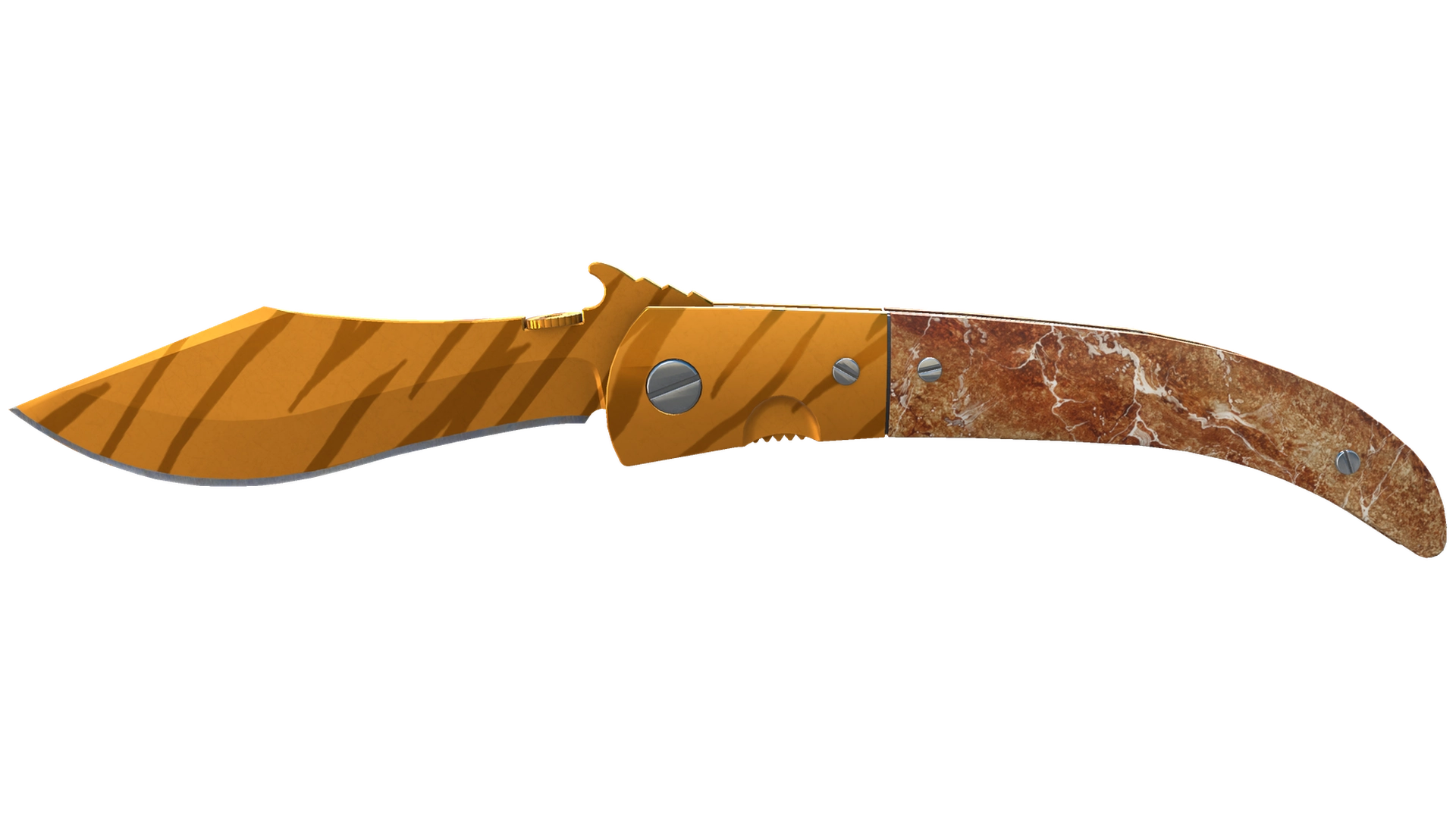 Tiger Tooth image