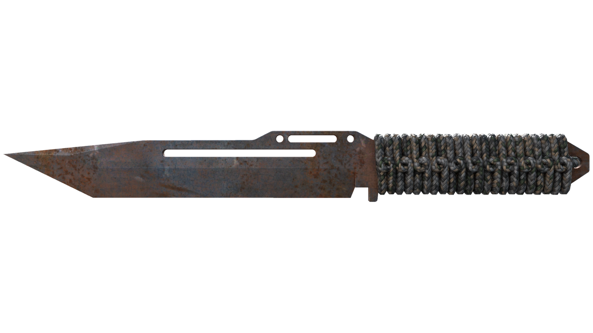 Rust Coat image