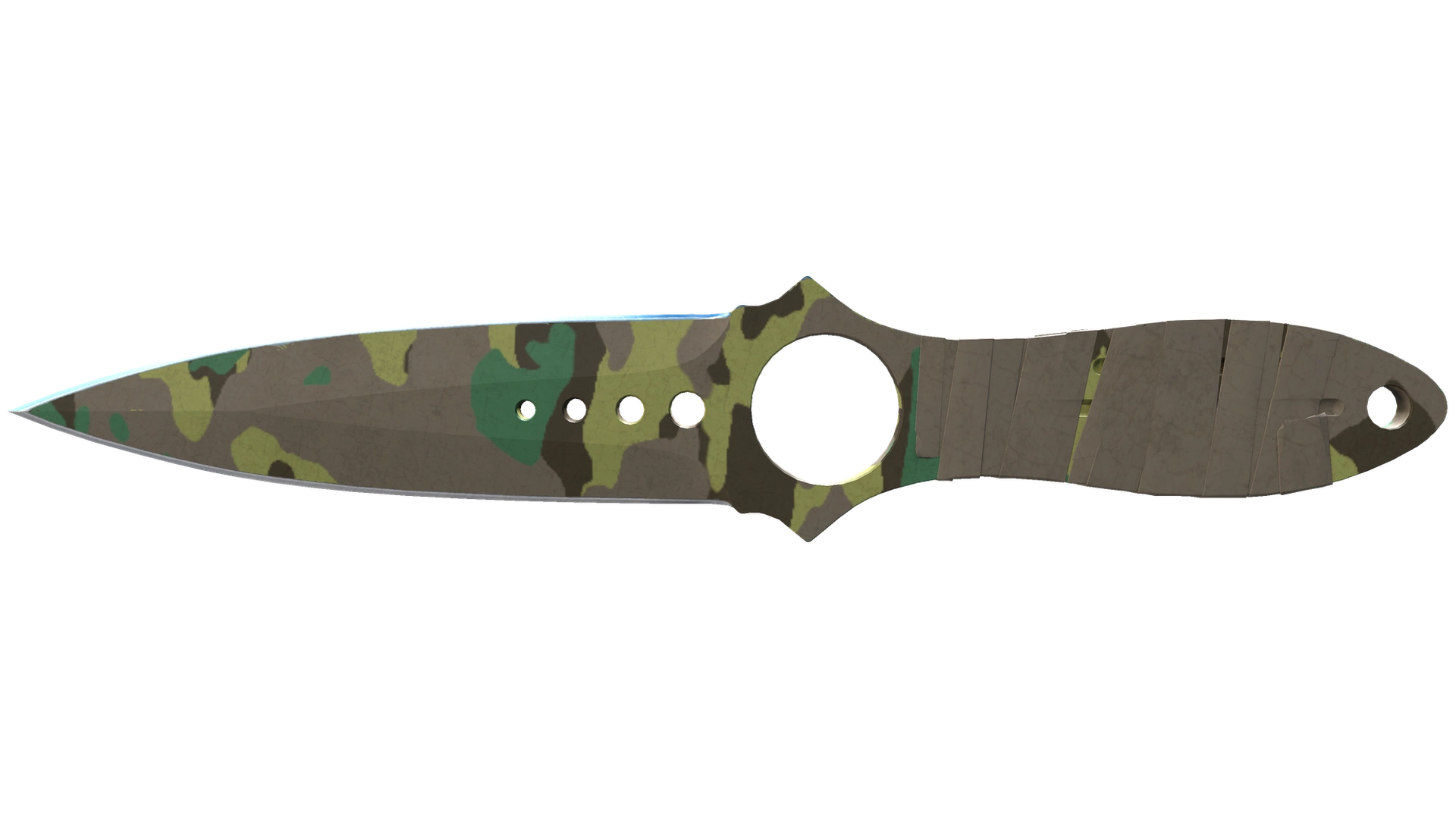 Boreal Forest image