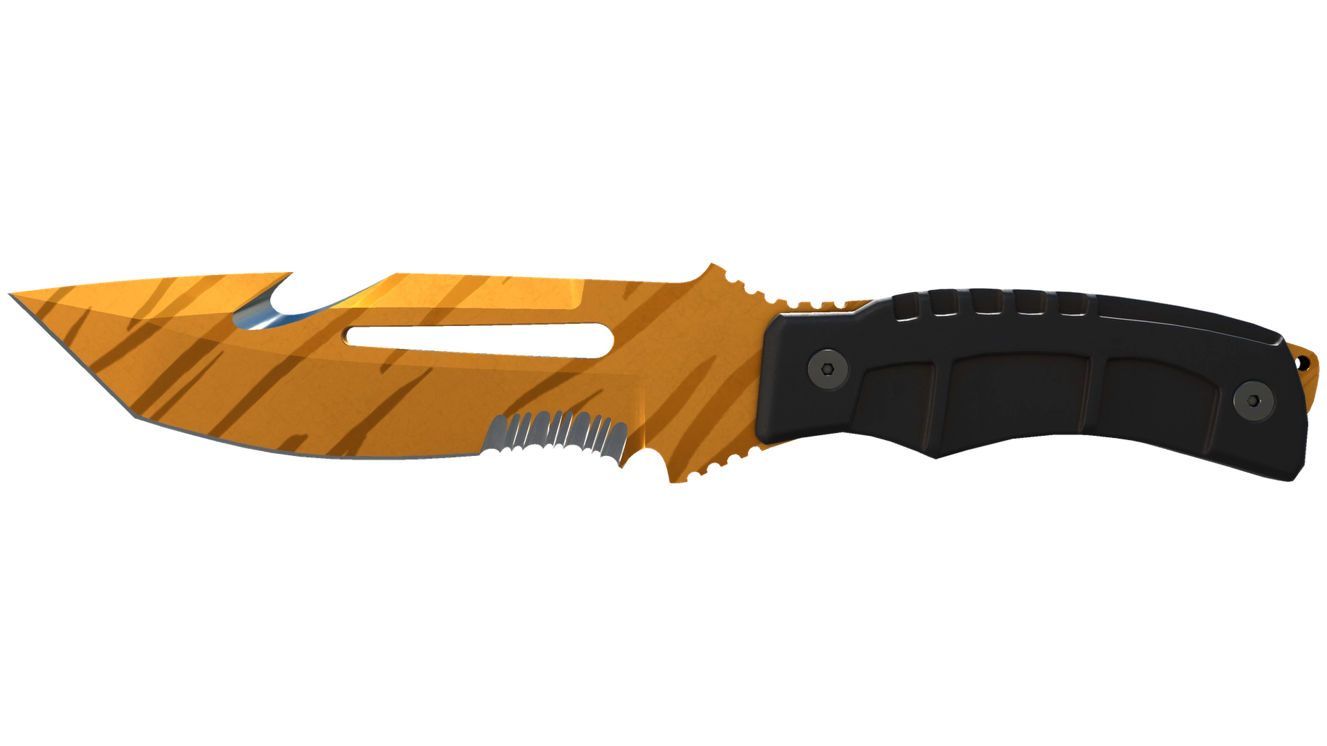 Tiger Tooth image