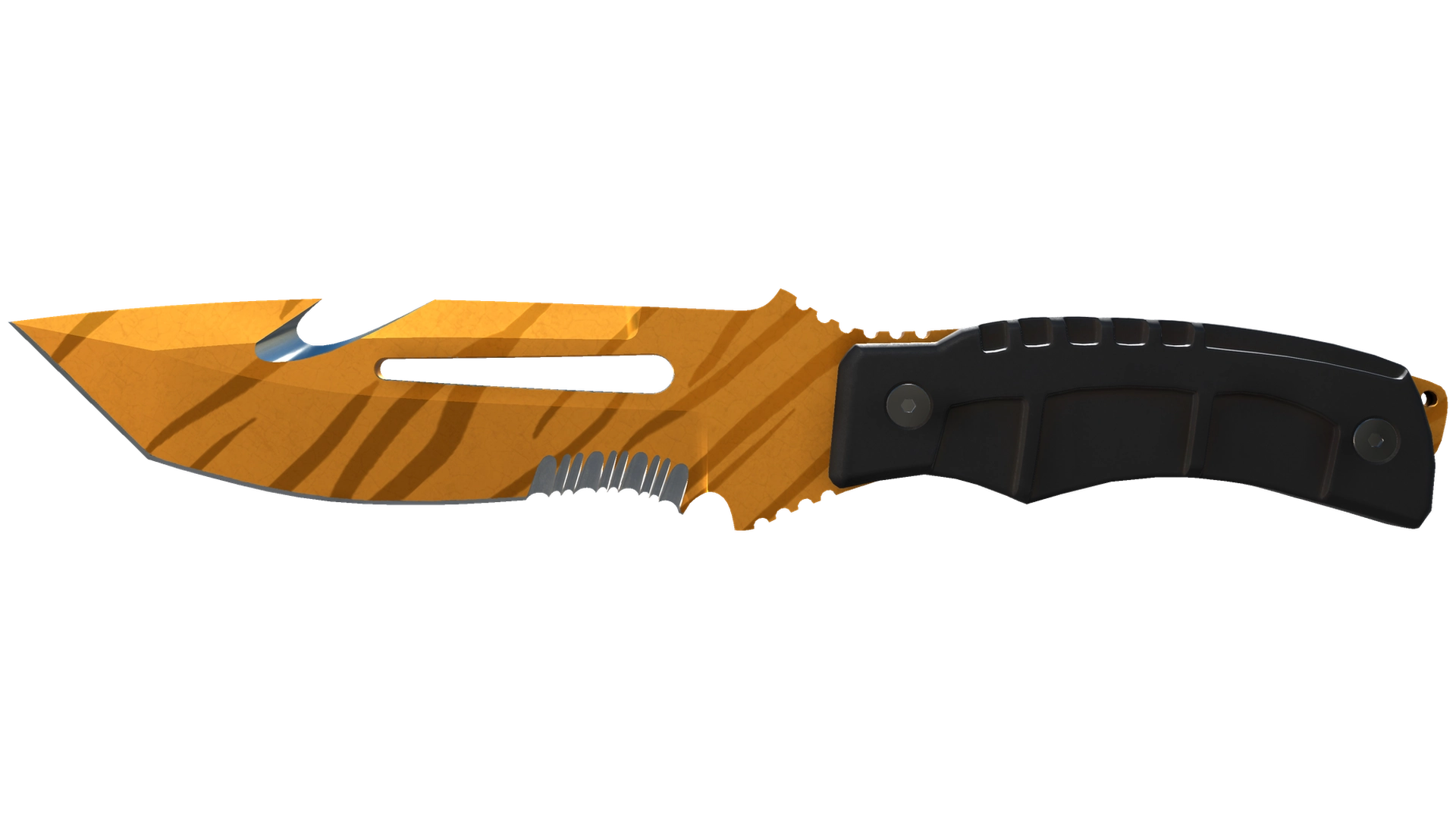 Tiger Tooth image