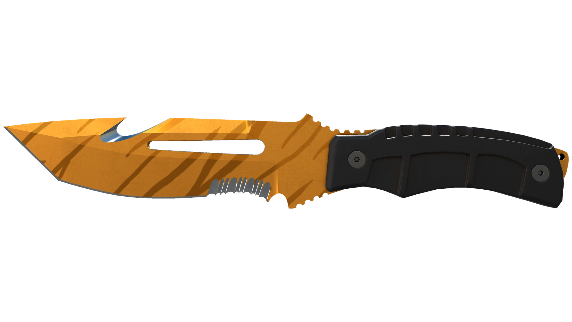 Tiger Tooth image