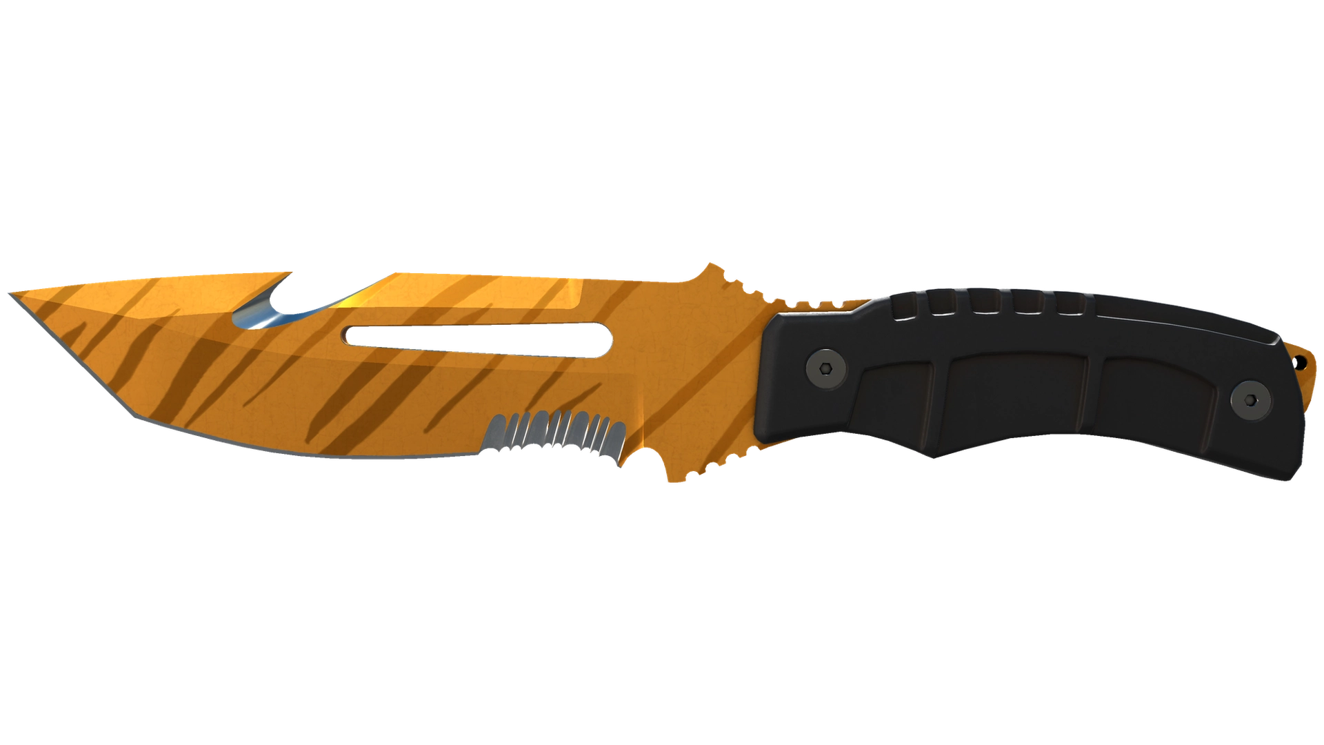 Tiger Tooth image