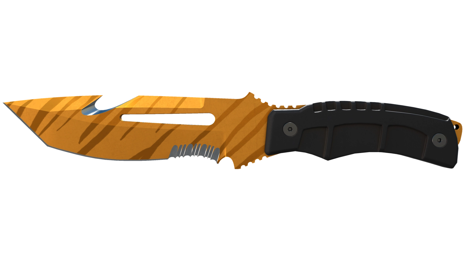 Tiger Tooth image
