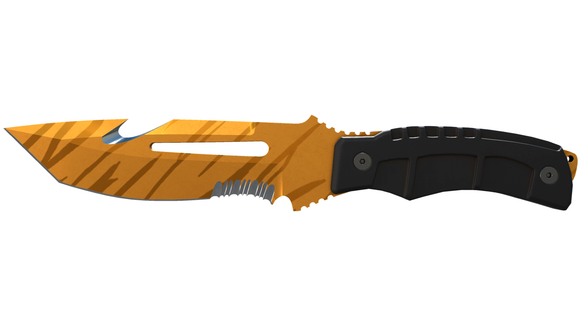 Tiger Tooth image
