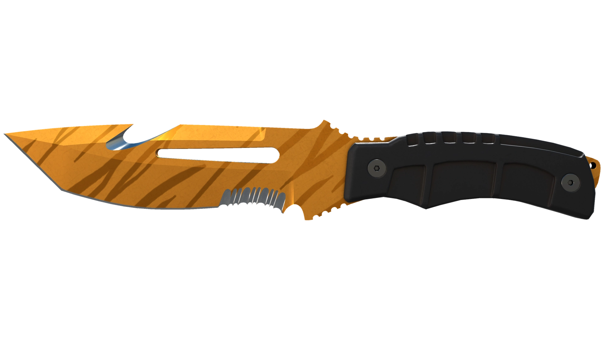 Tiger Tooth image