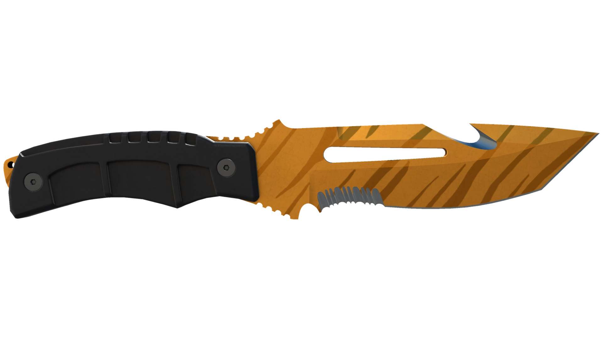 Tiger Tooth image