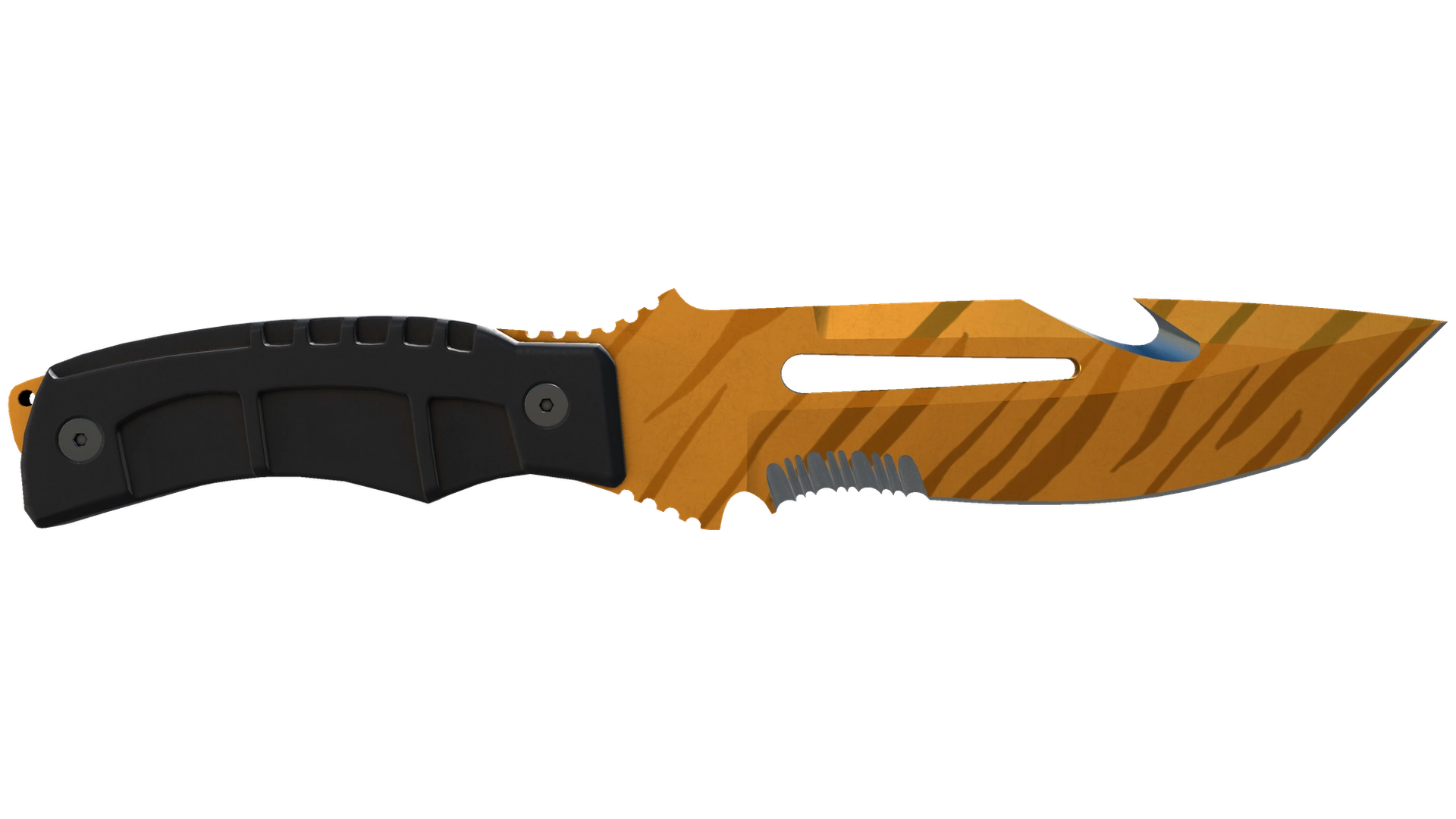 Tiger Tooth image