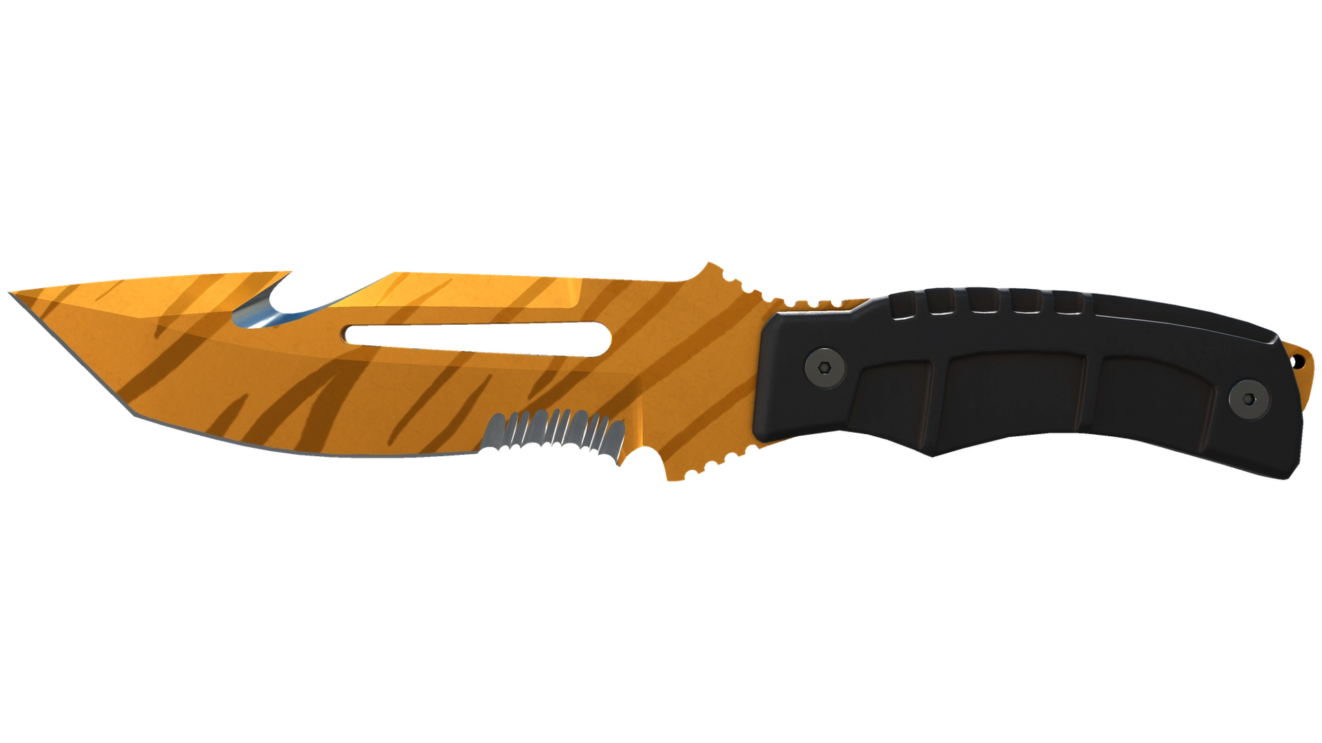 Tiger Tooth image