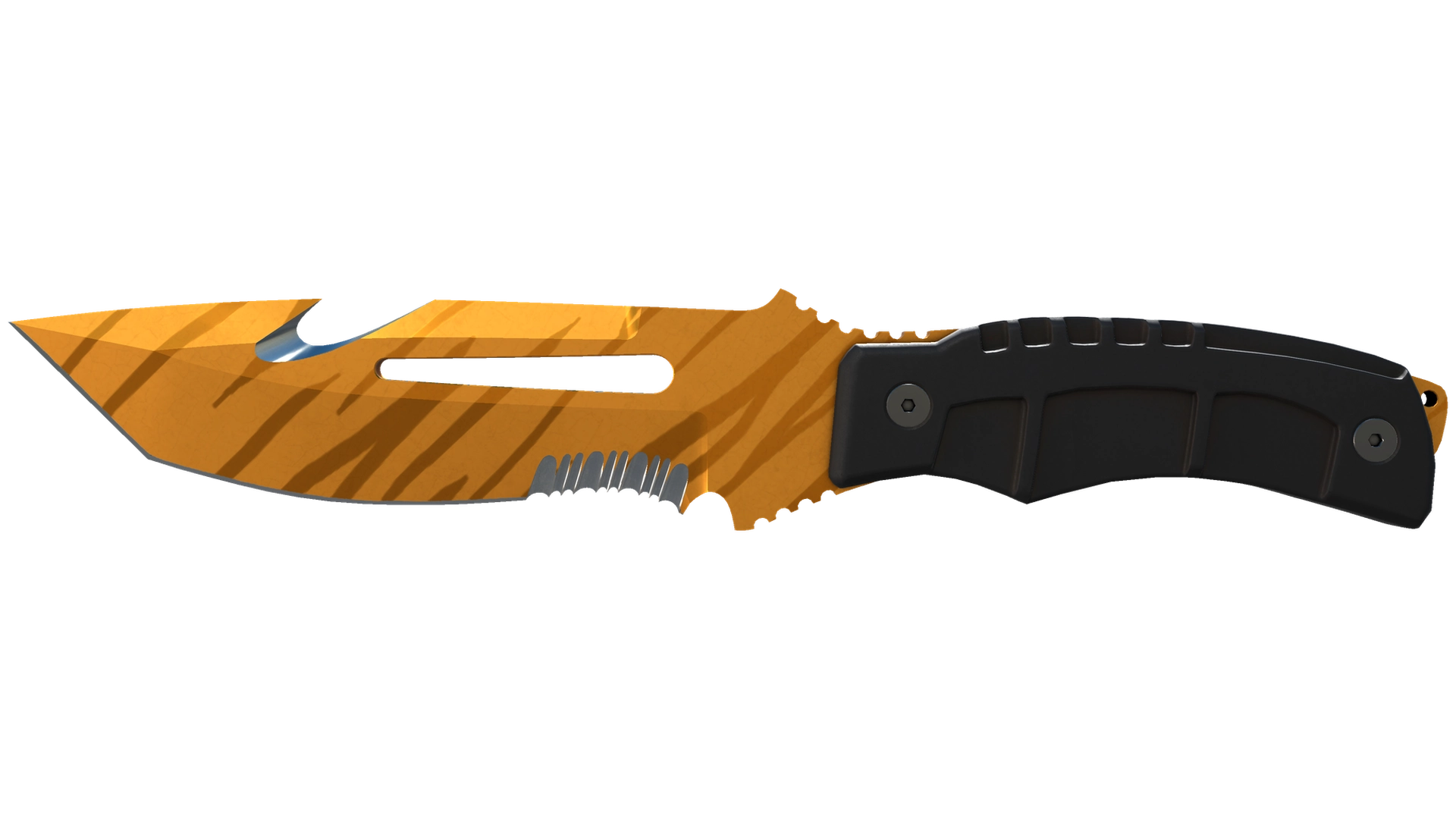 Tiger Tooth image