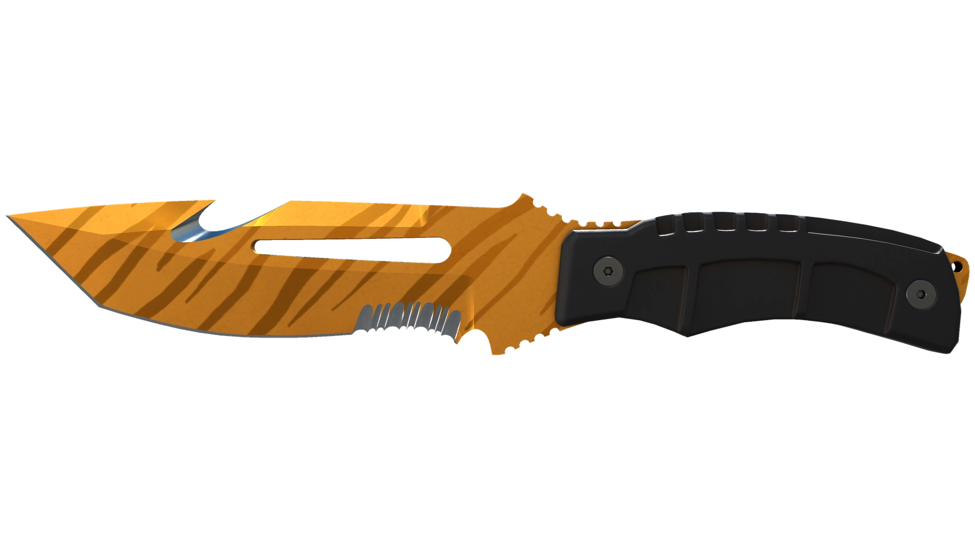 Tiger Tooth image