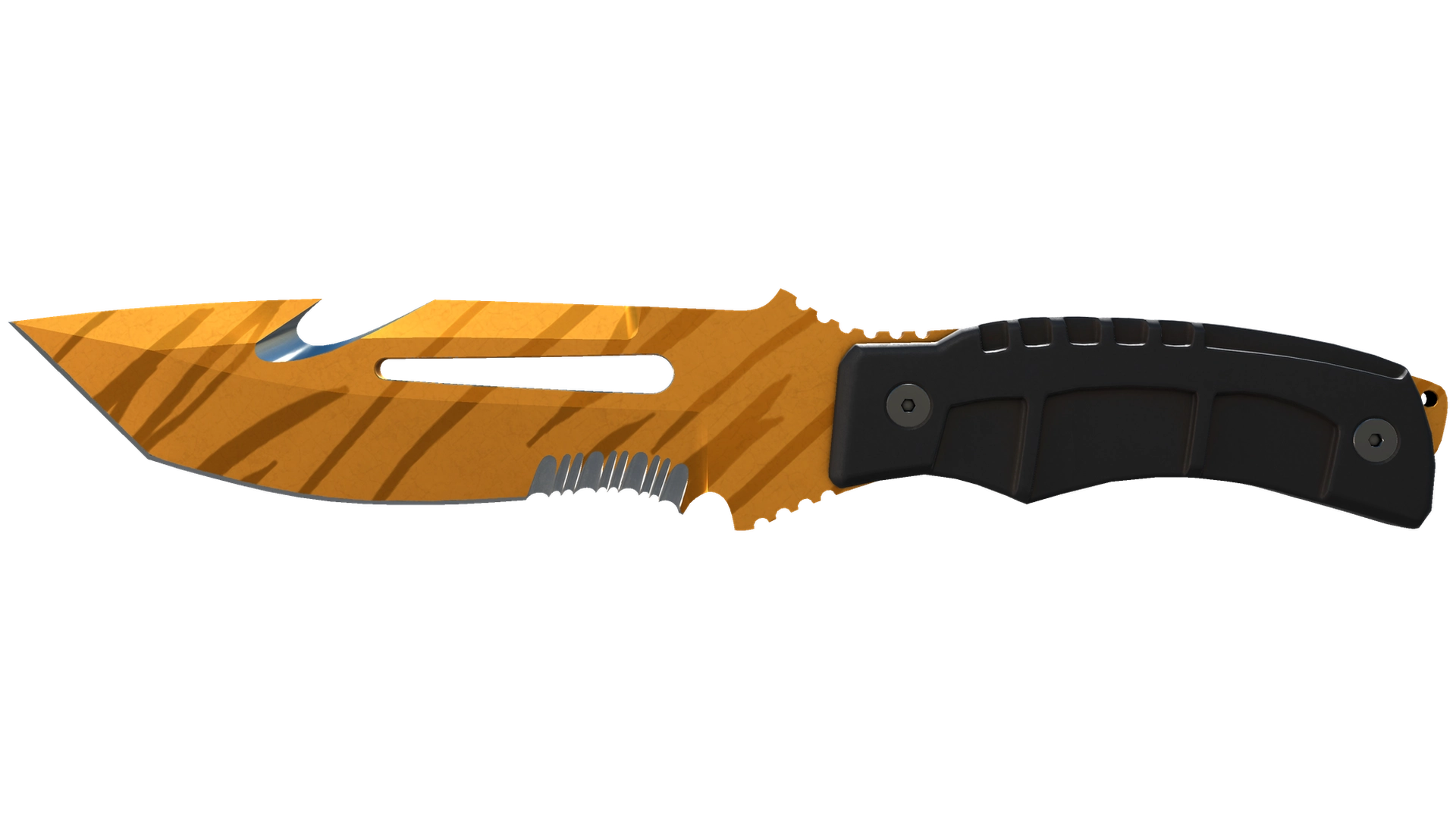 Tiger Tooth image