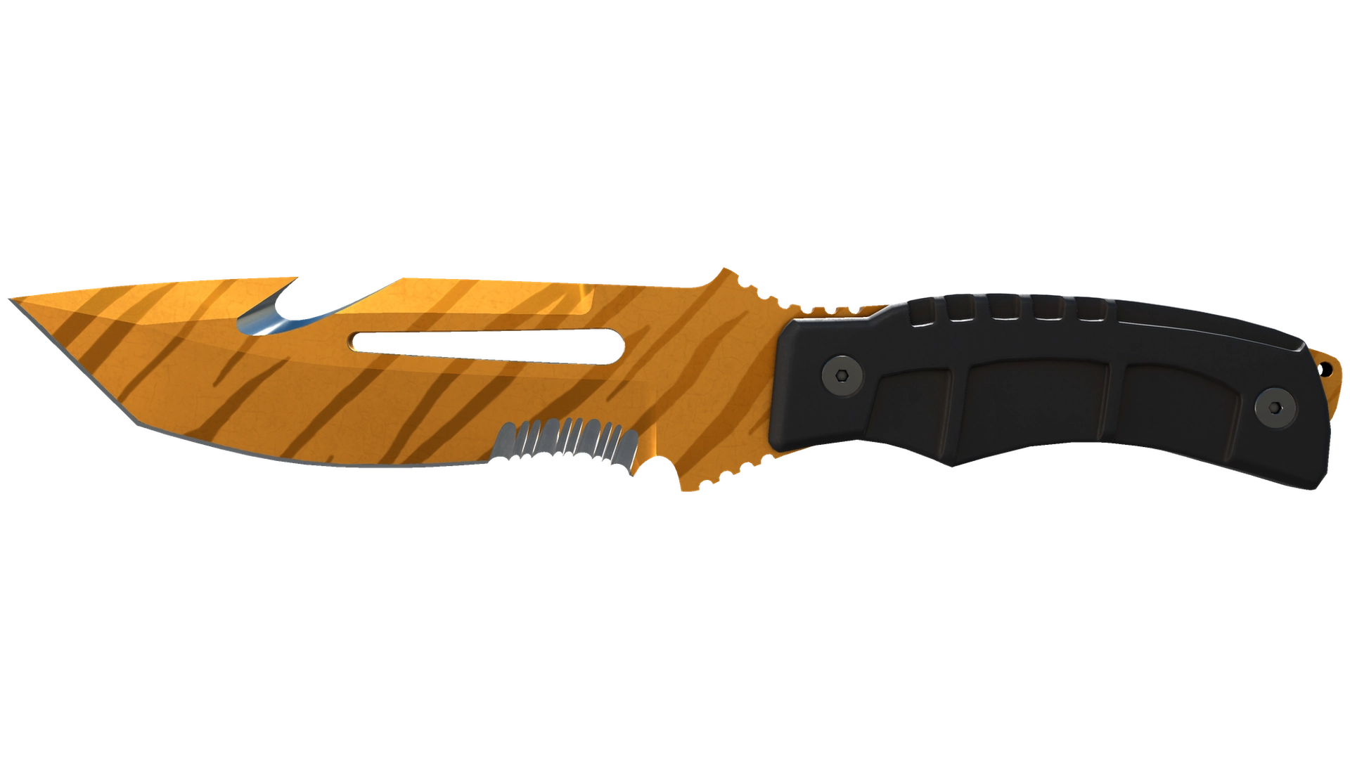Tiger Tooth image