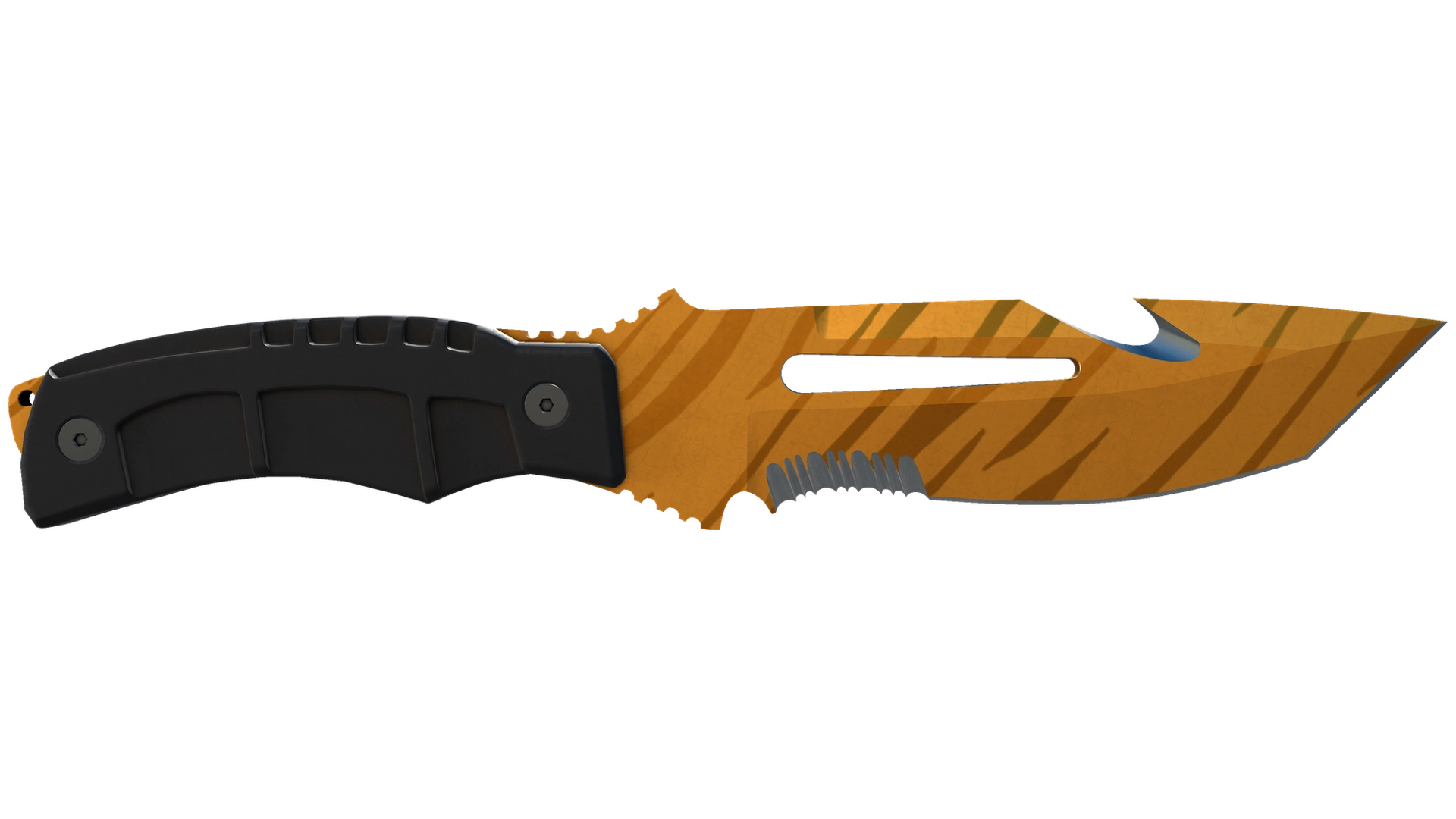 Tiger Tooth image