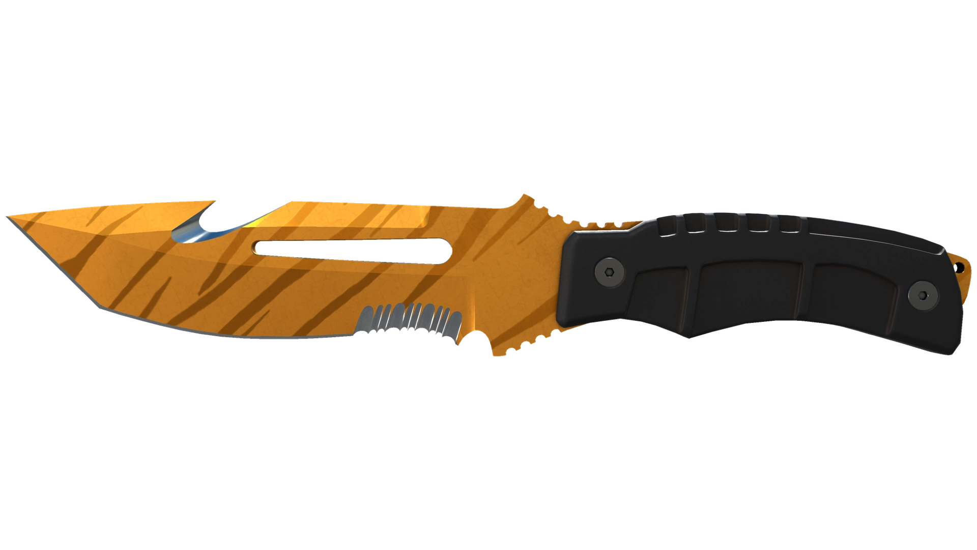 Tiger Tooth image
