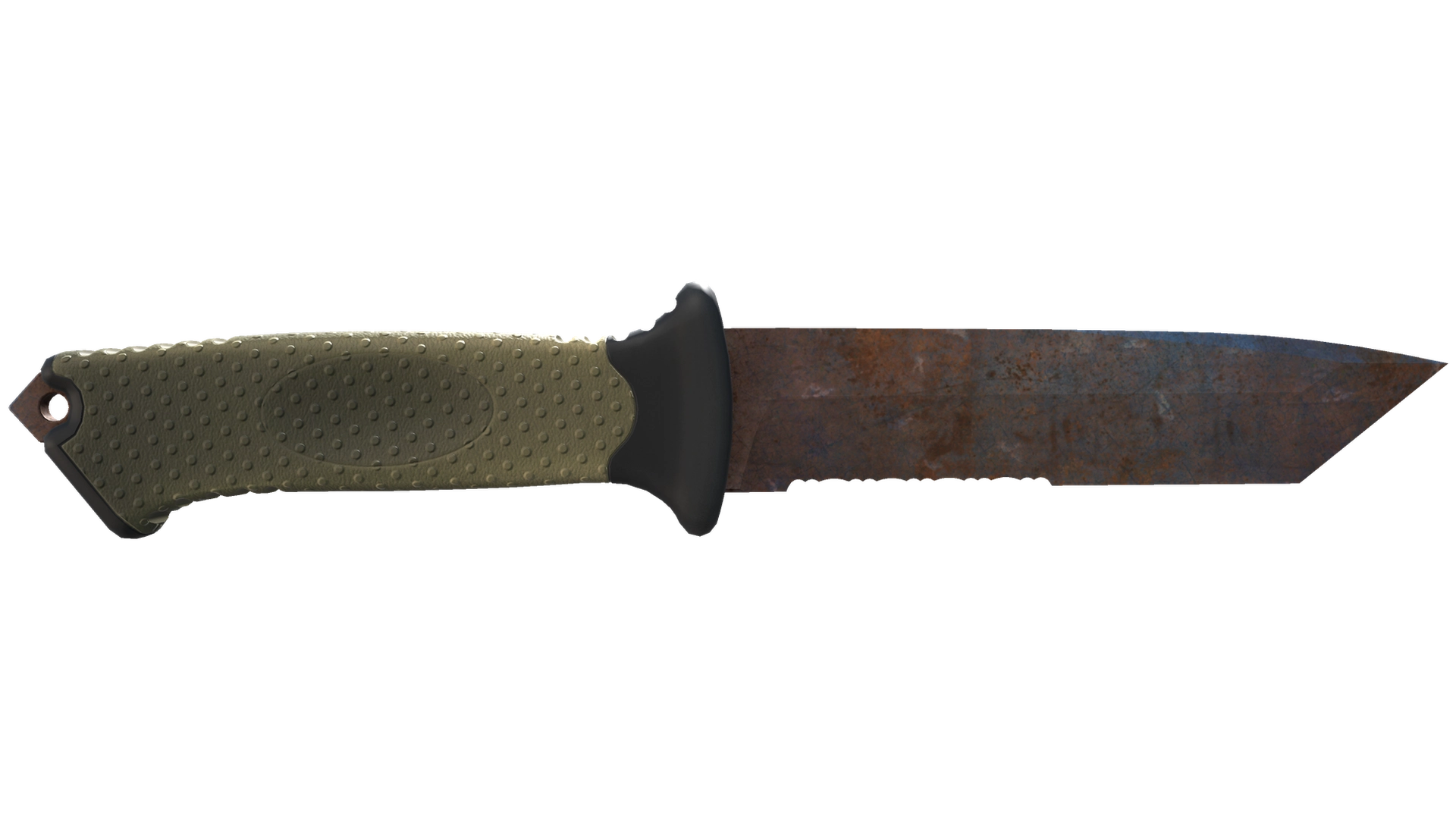 Rust Coat image